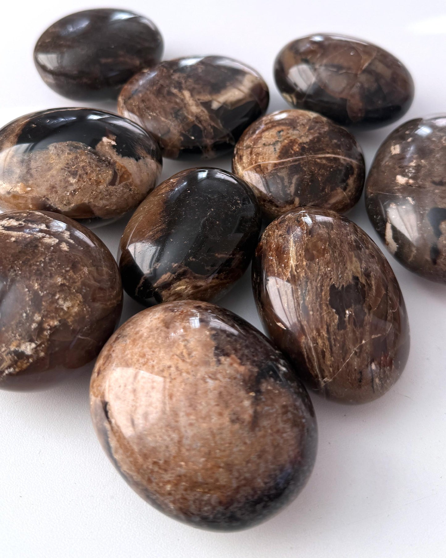 Black Opal Palm Stone