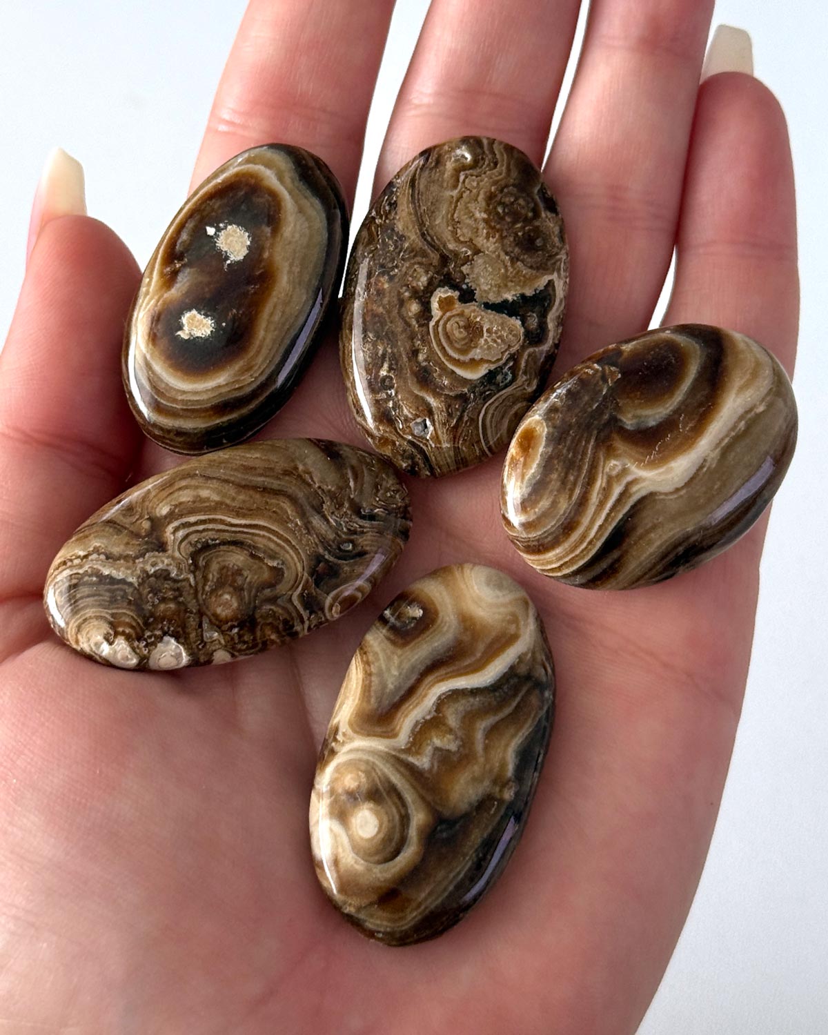 Chocolate Calcite Small Palm Stone