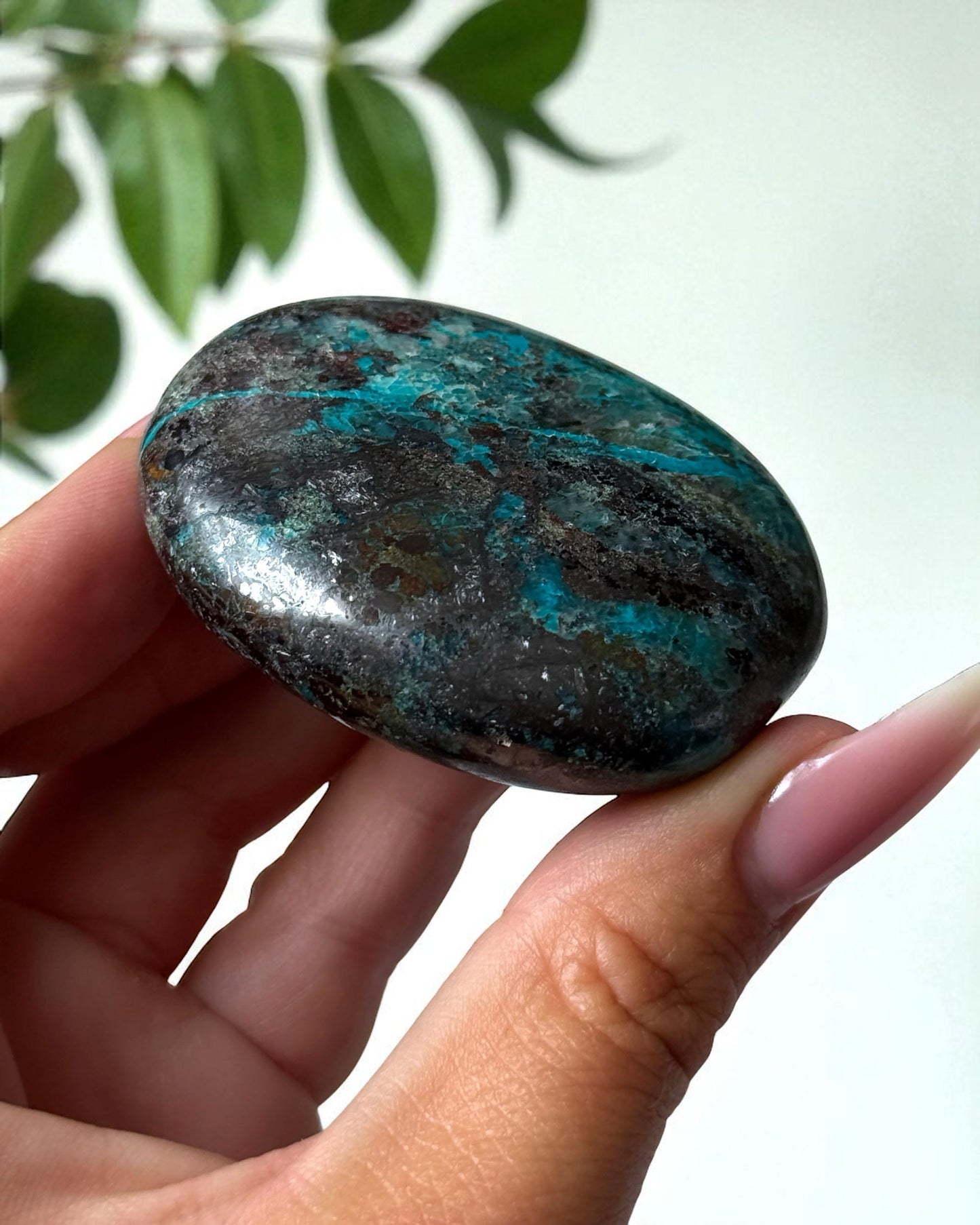 Chrysocolla with Hematite Palm Stone