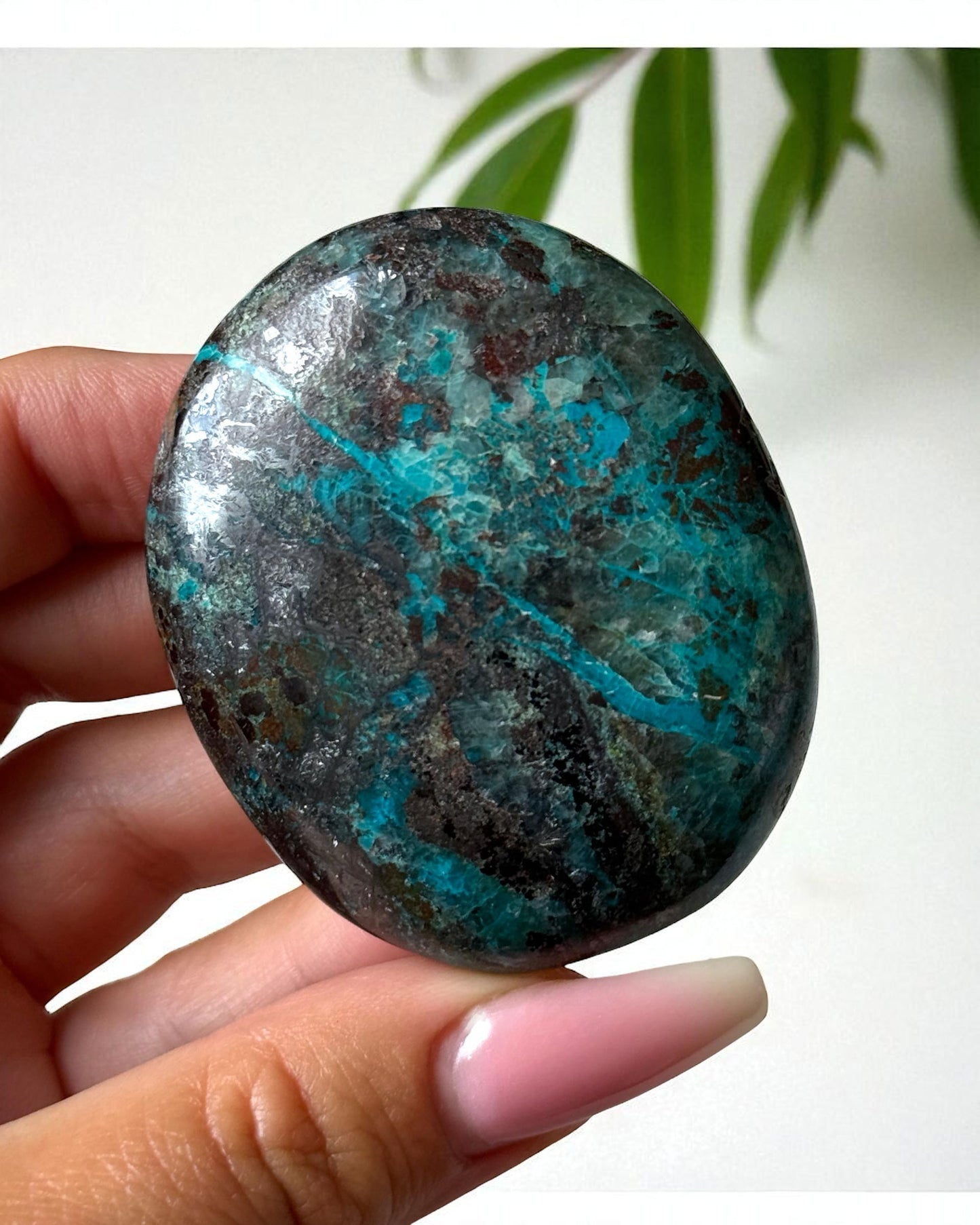 Chrysocolla with Hematite Palm Stone