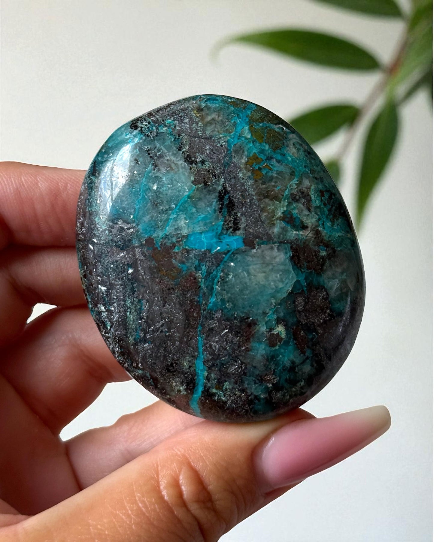 Chrysocolla with Hematite Palm Stone