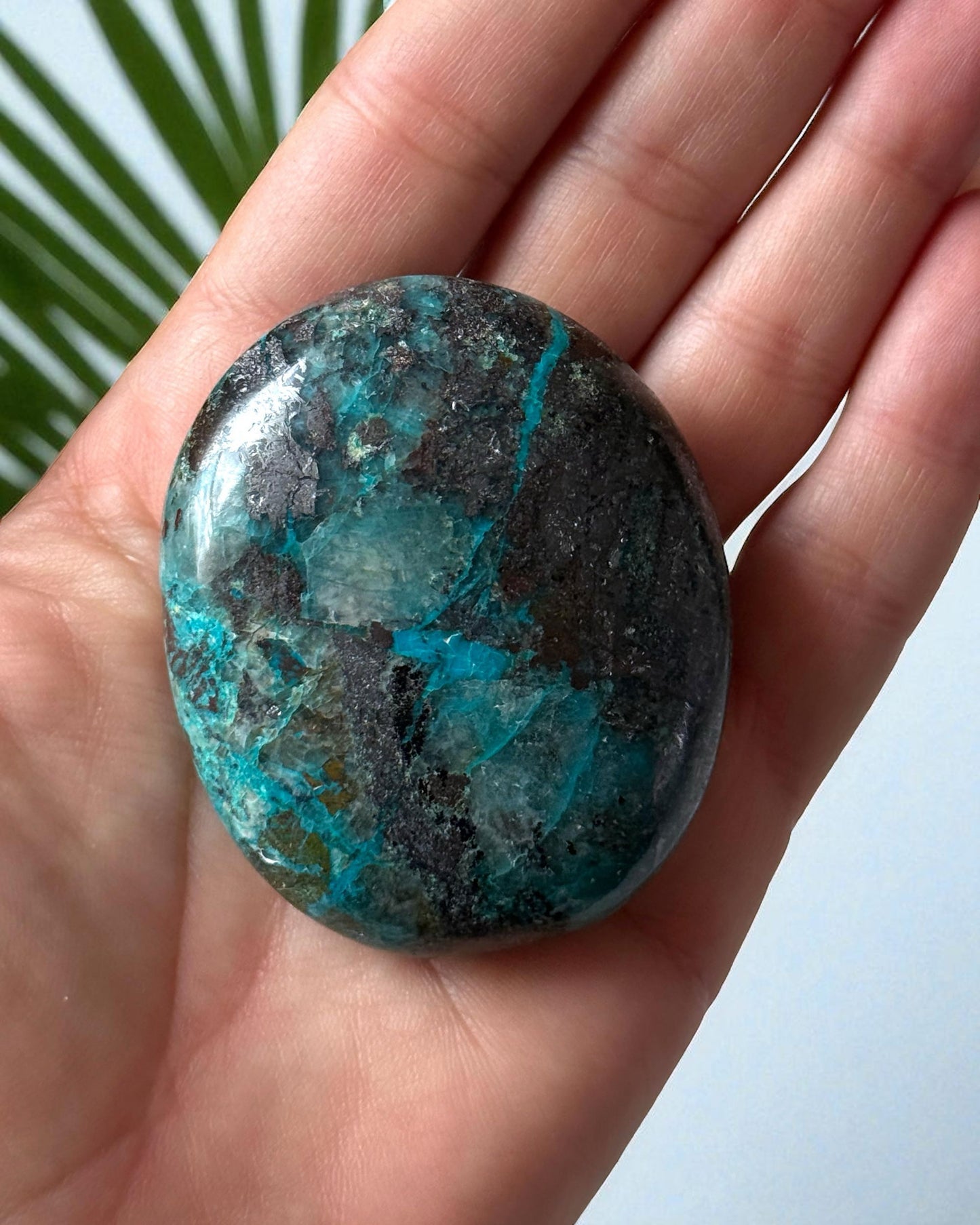 Chrysocolla with Hematite Palm Stone