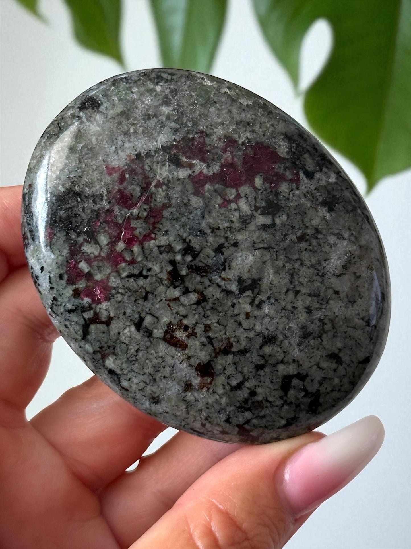 Eudialyte Palm Stone