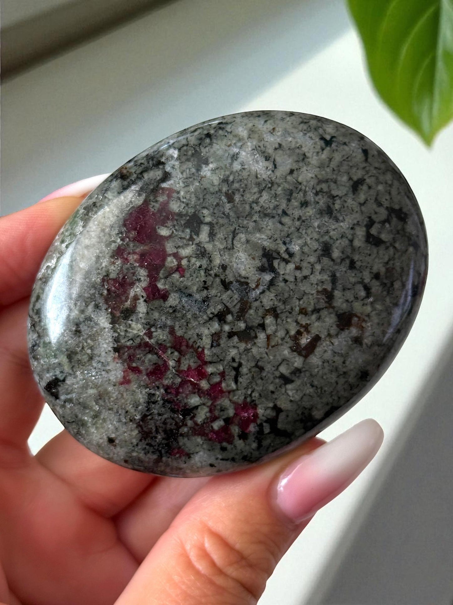 Eudialyte Palm Stone