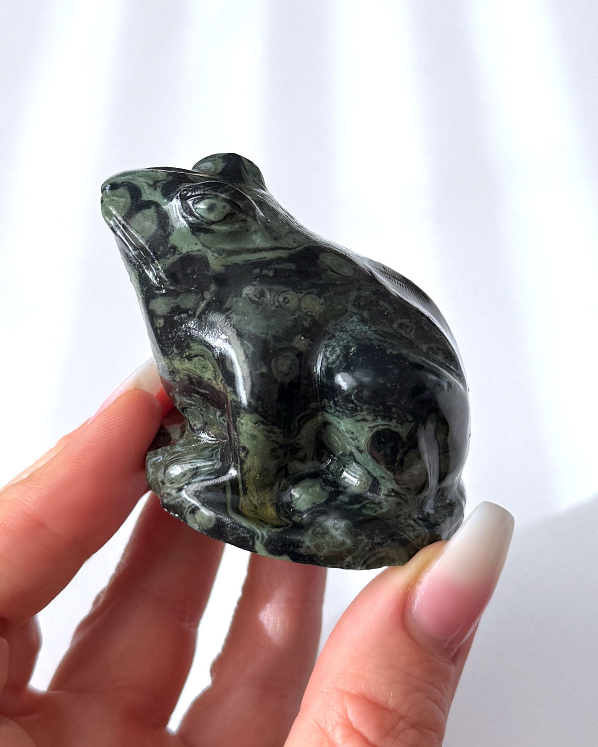 Kambaba Jasper Frog