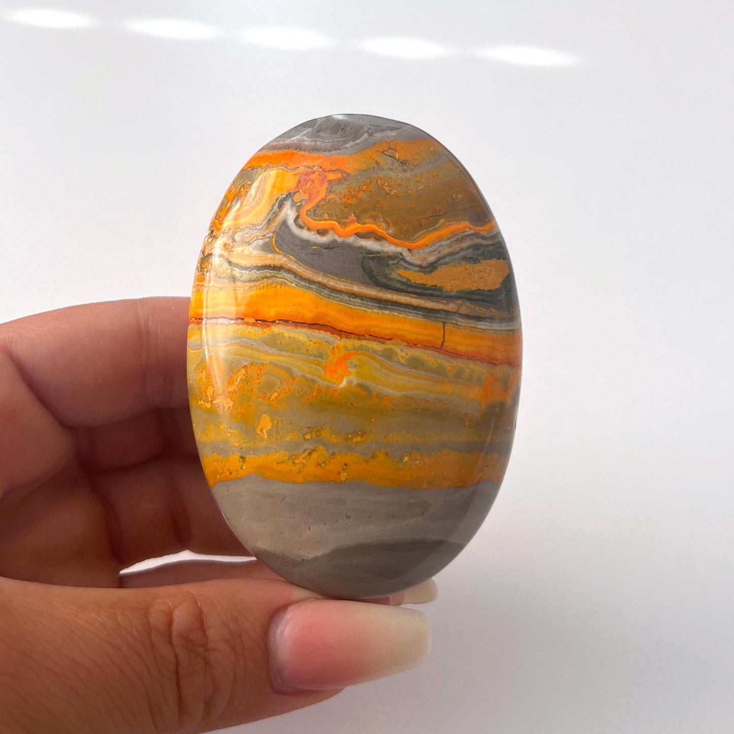 Bumble Bee Jasper Palm Stone