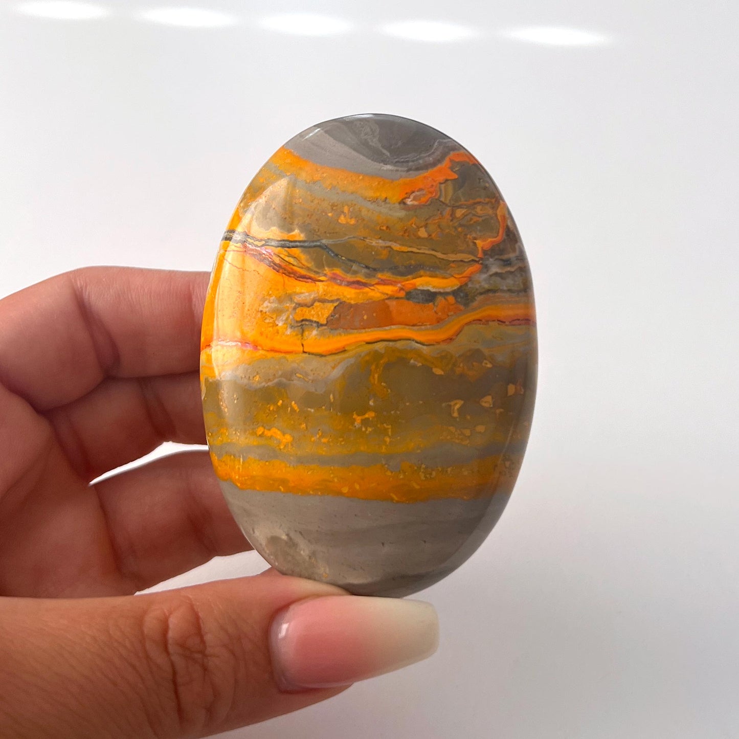 Bumble Bee Jasper Palm Stone