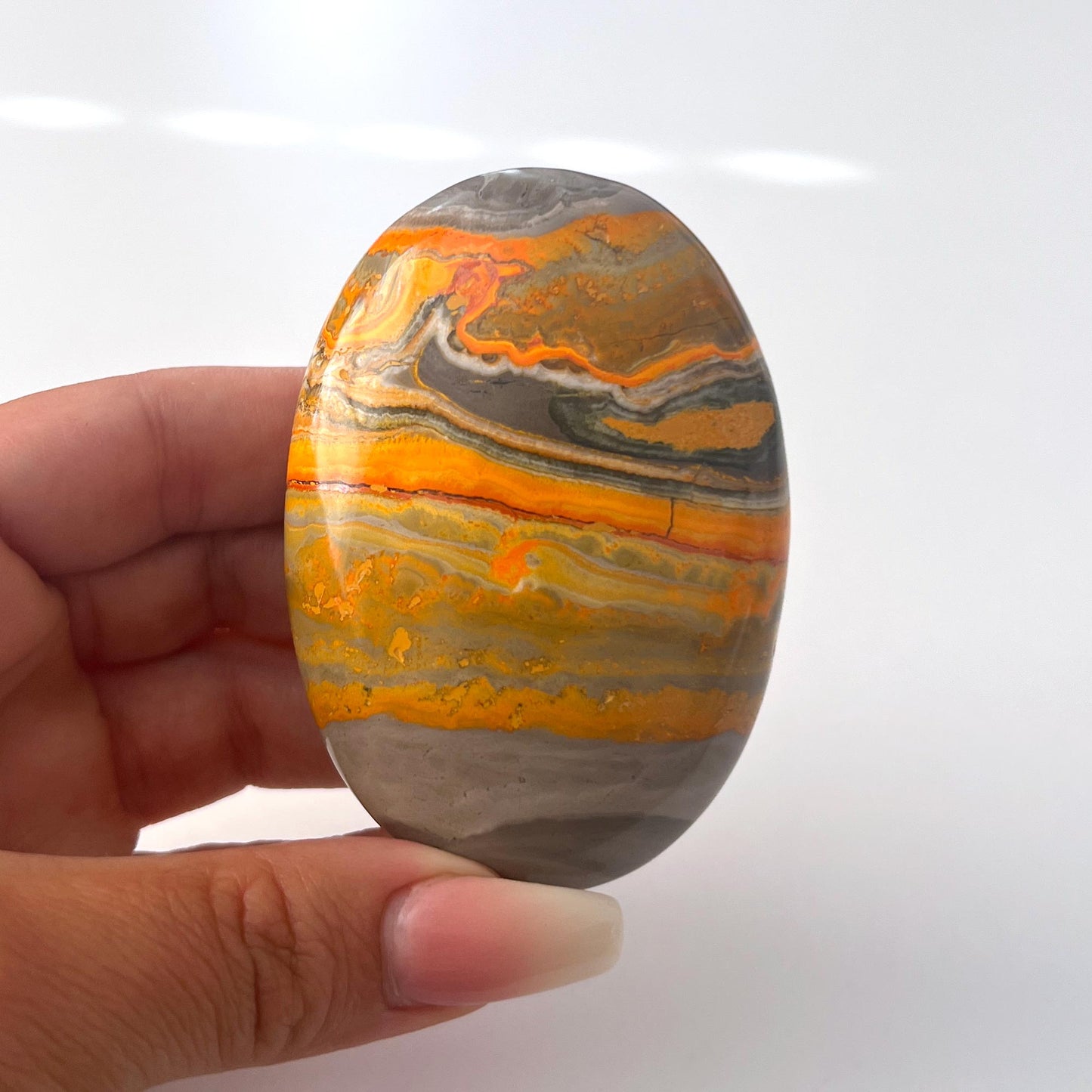 Bumble Bee Jasper Palm Stone