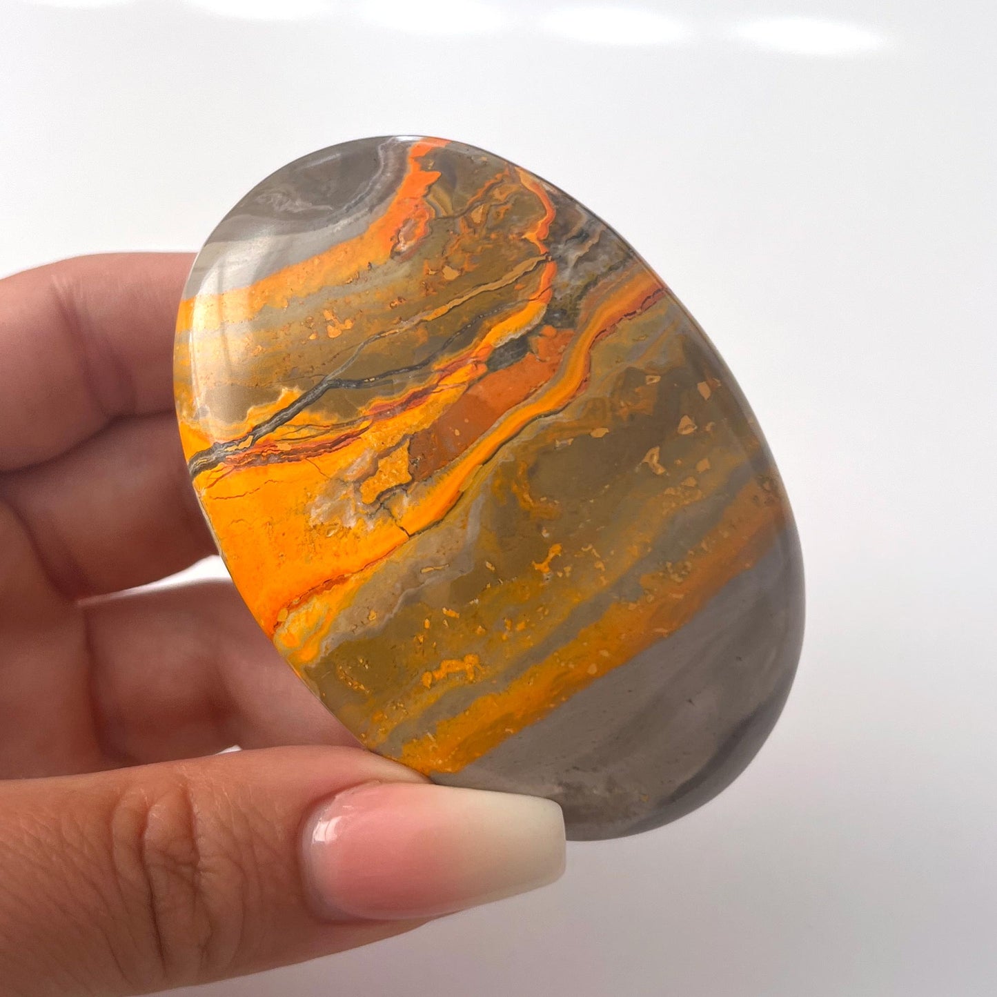 Bumble Bee Jasper Palm Stone
