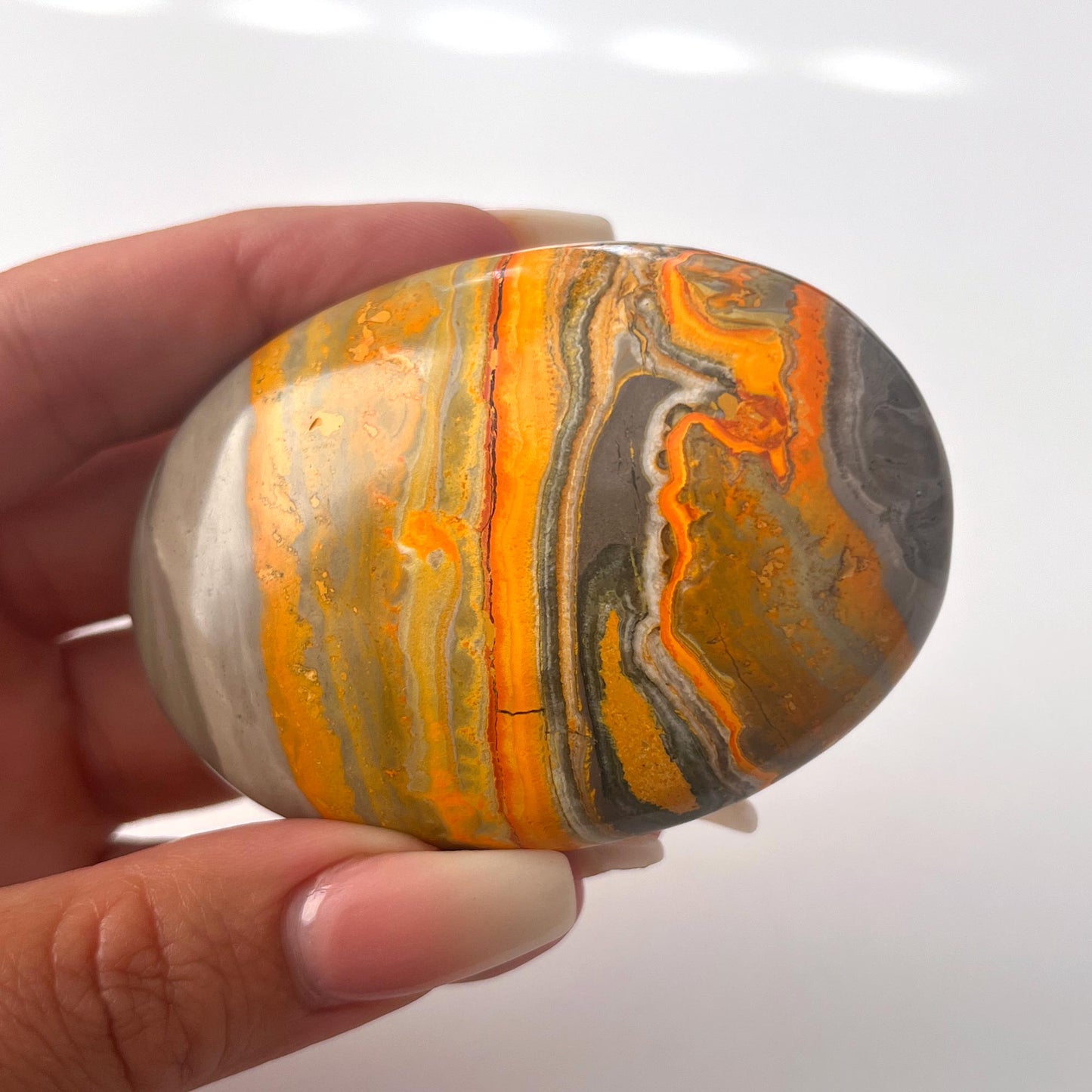 Bumble Bee Jasper Palm Stone