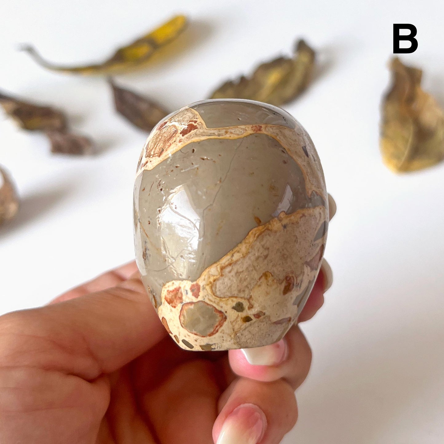 Leopardskin Jasper Skull