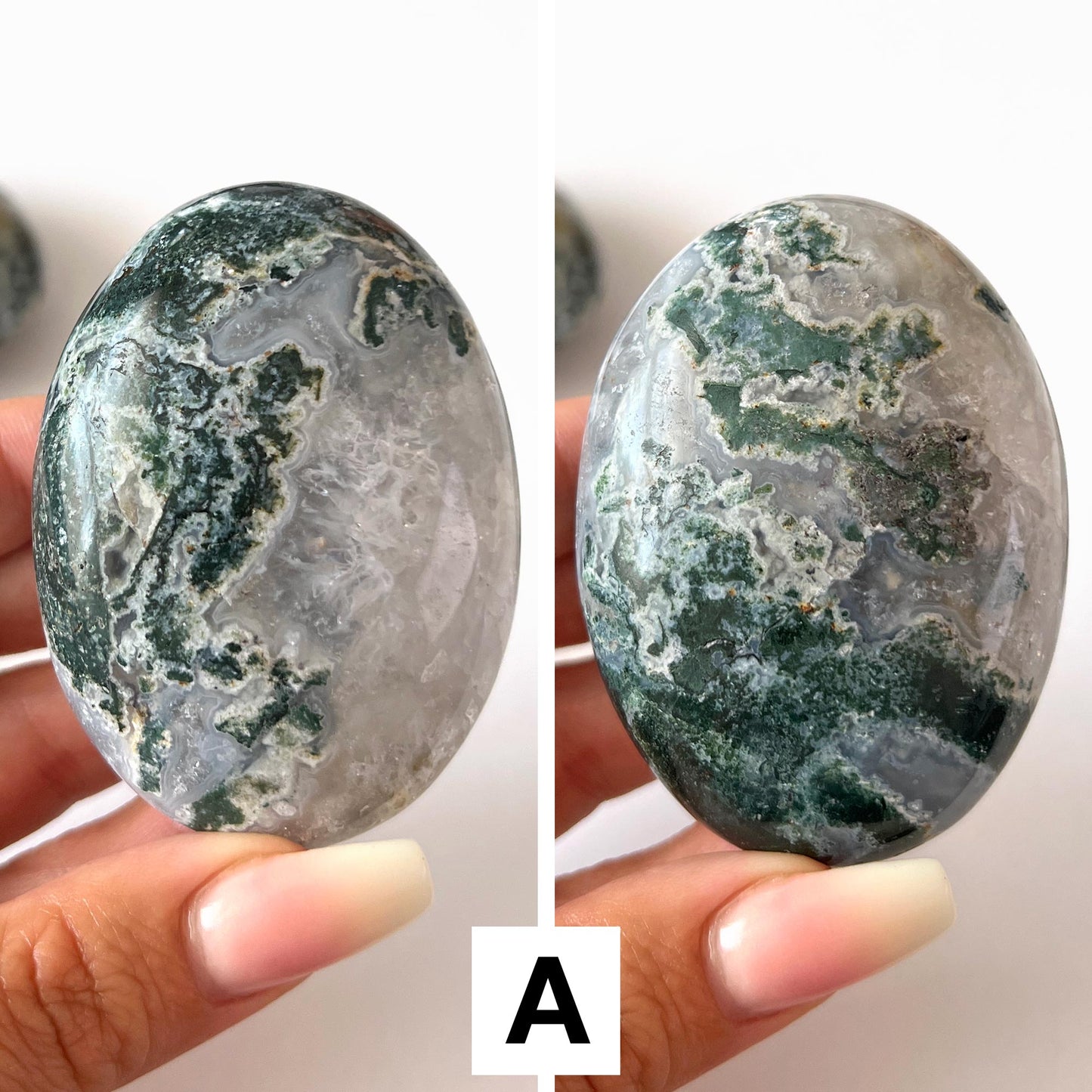 Moss Agate Palm Stone