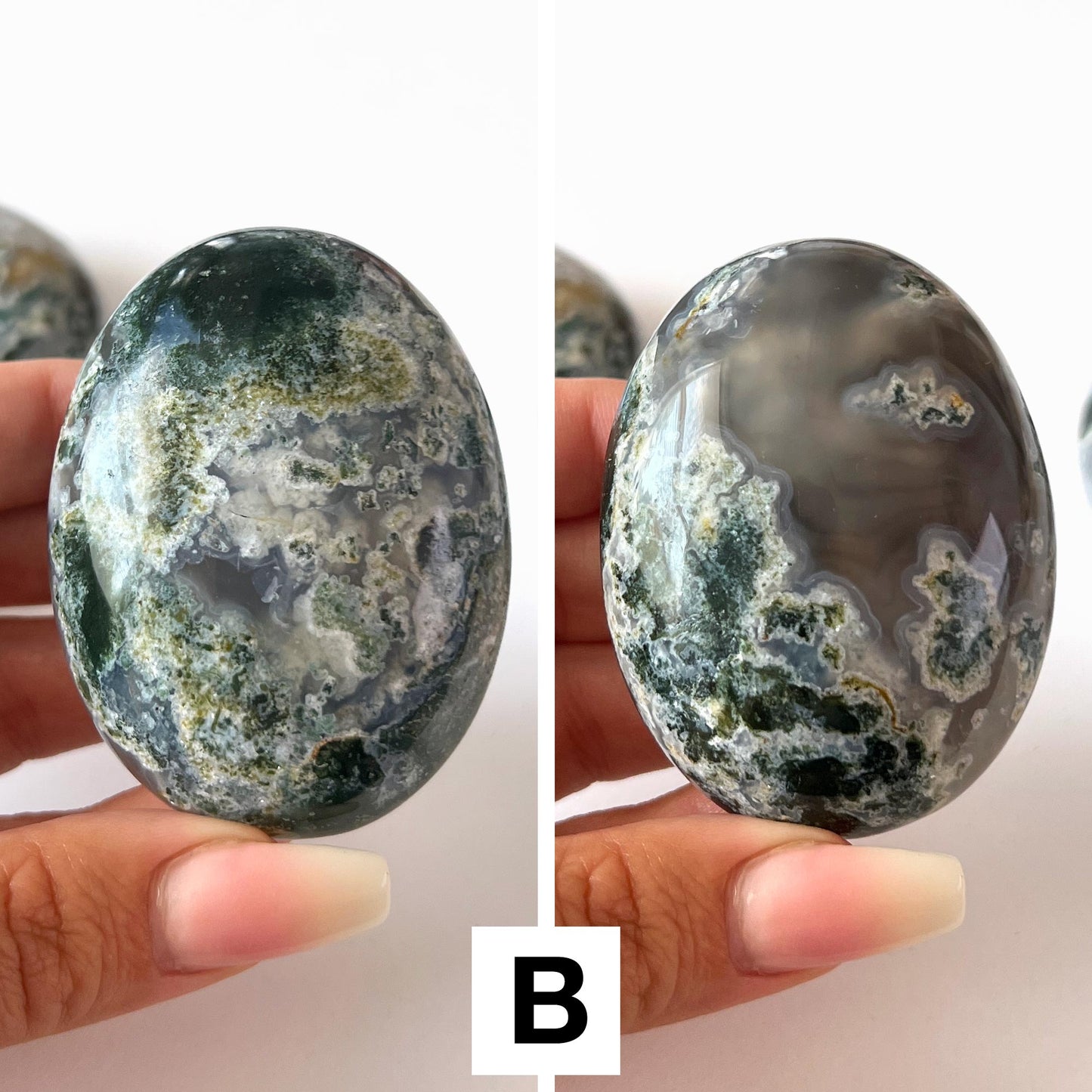 Moss Agate Palm Stone