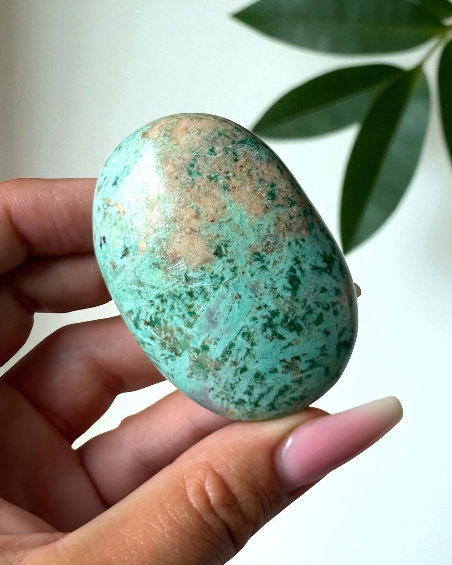 Peruvian Turquoise Palm Stone