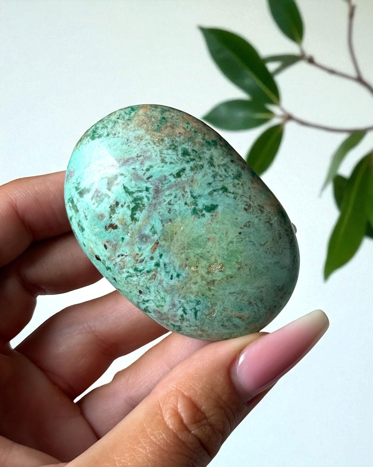 Peruvian Turquoise Palm Stone