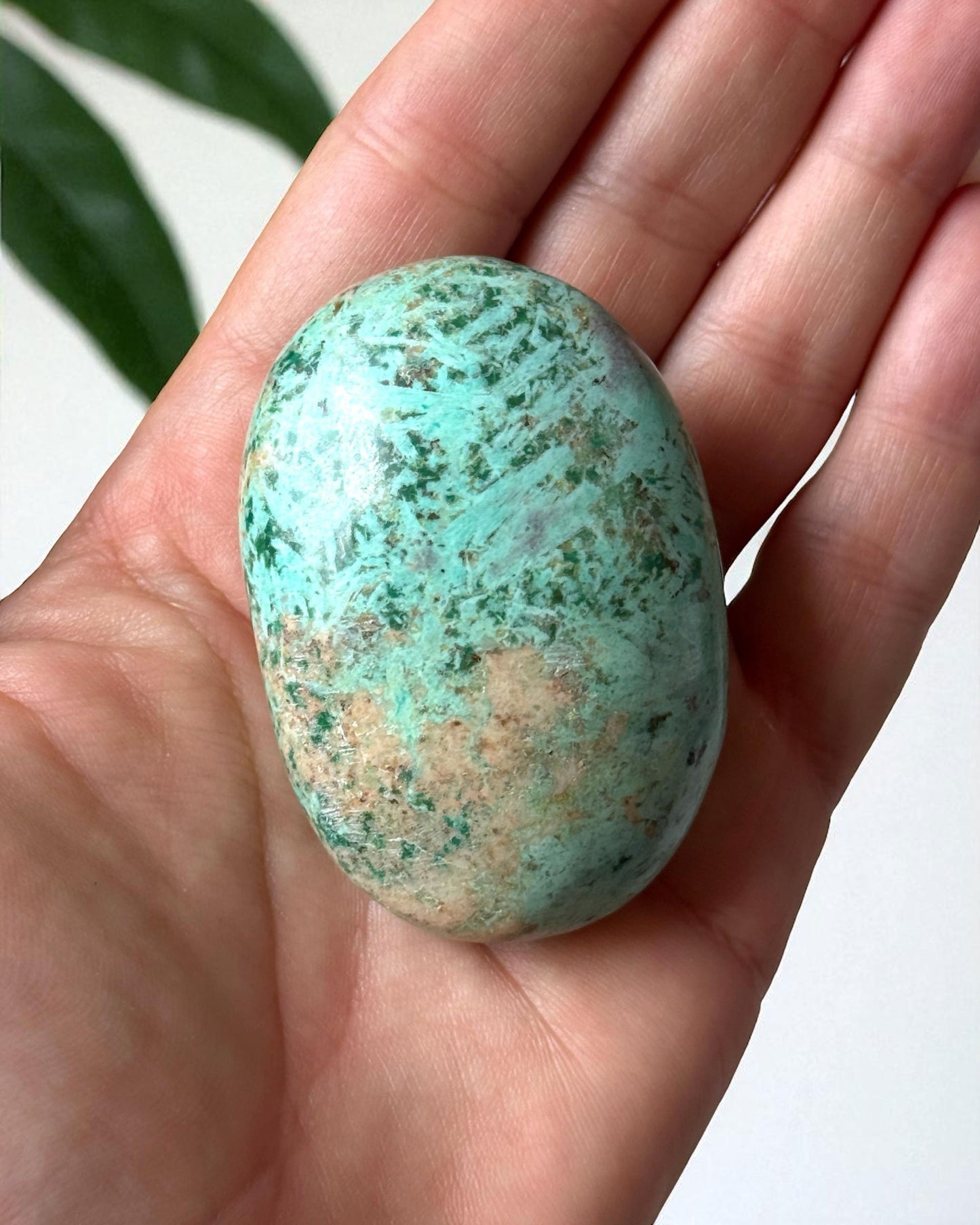 Peruvian Turquoise Palm Stone