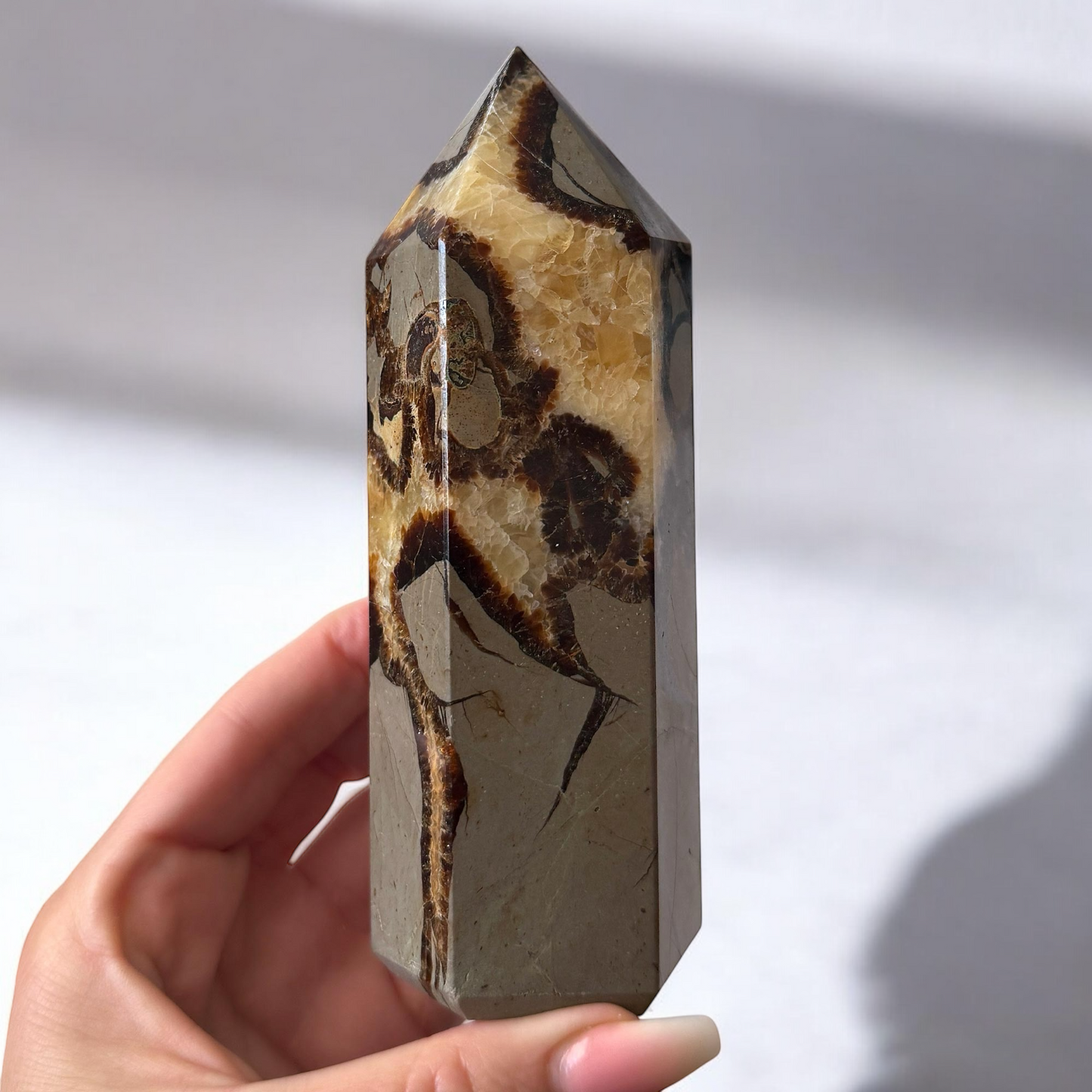 Septarian Tower