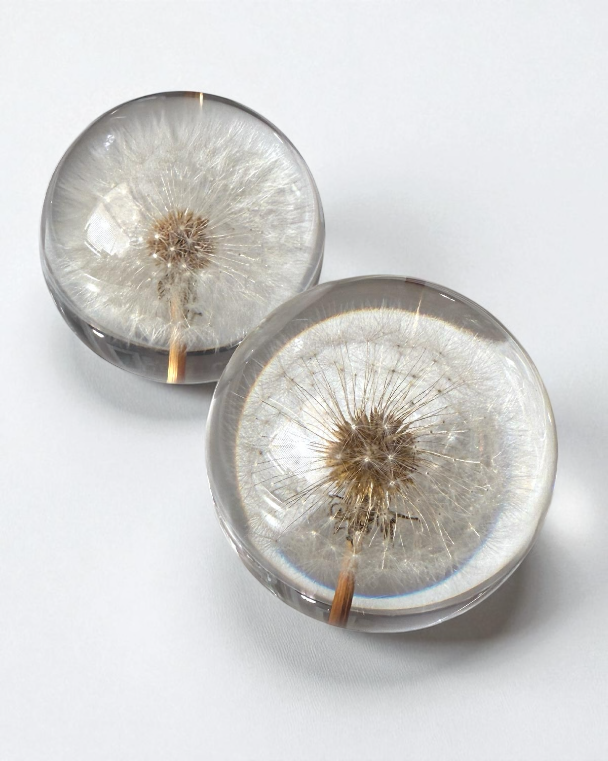 Everlasting Dandelion Sphere 70mm