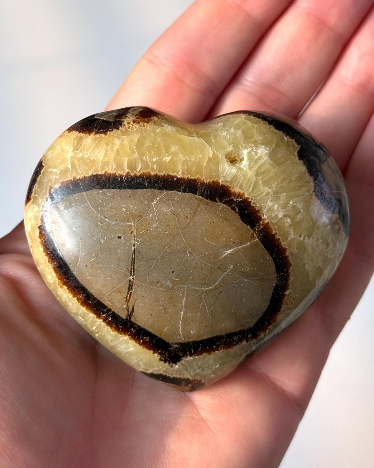 Septarian Heart