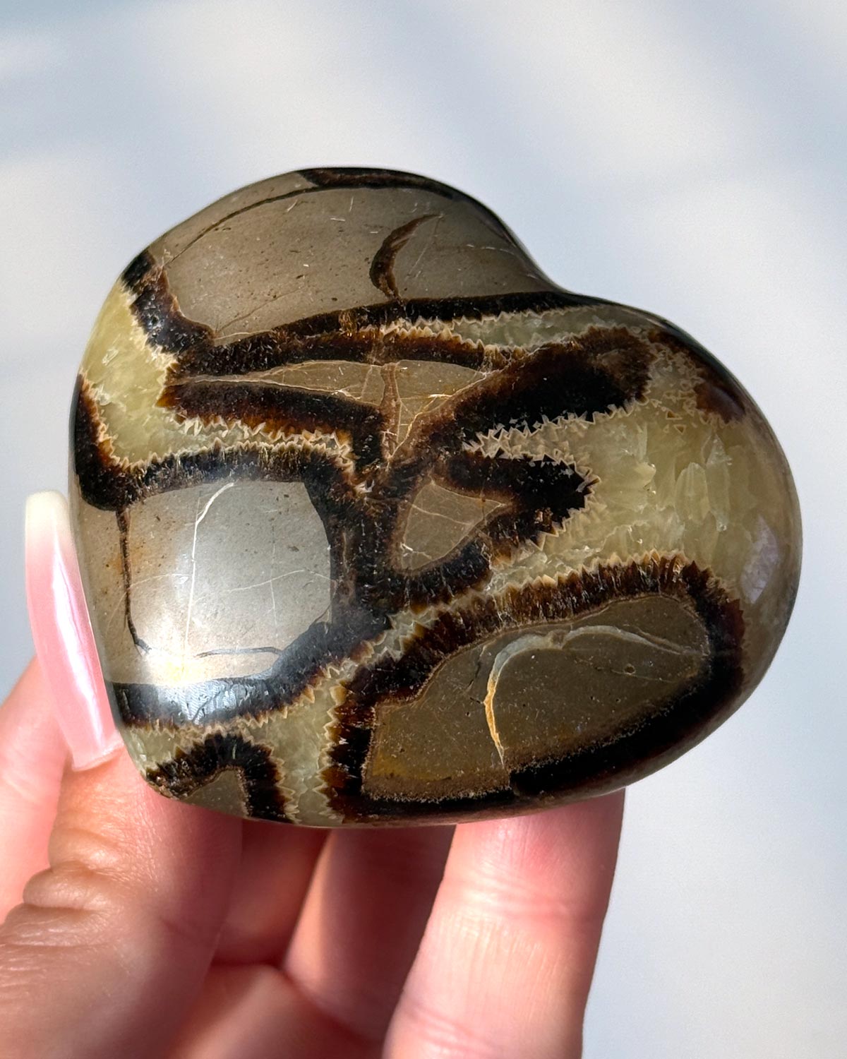 Septarian Heart