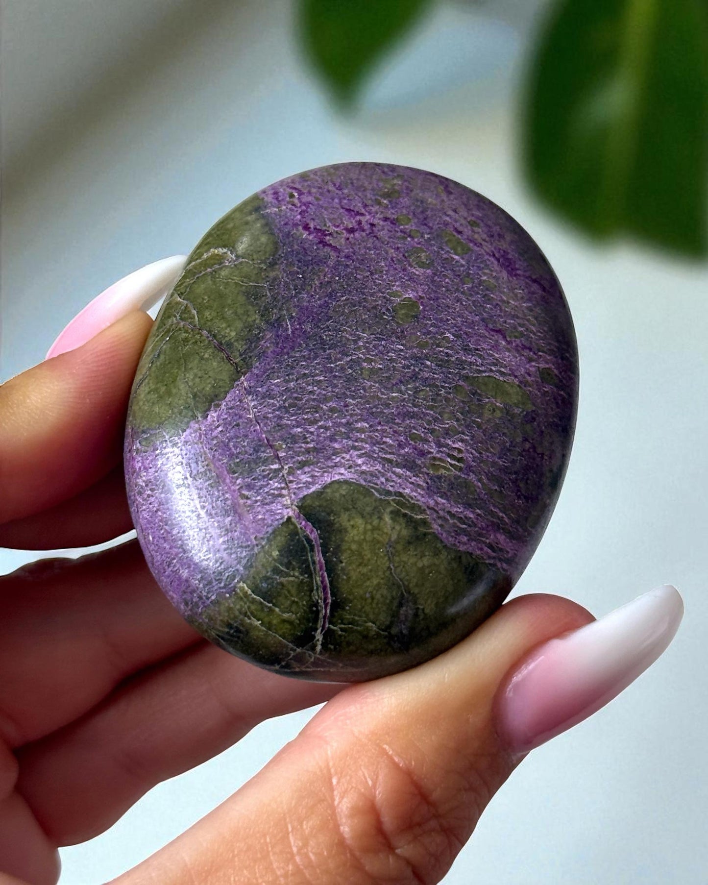 Stichtite Palm Stone