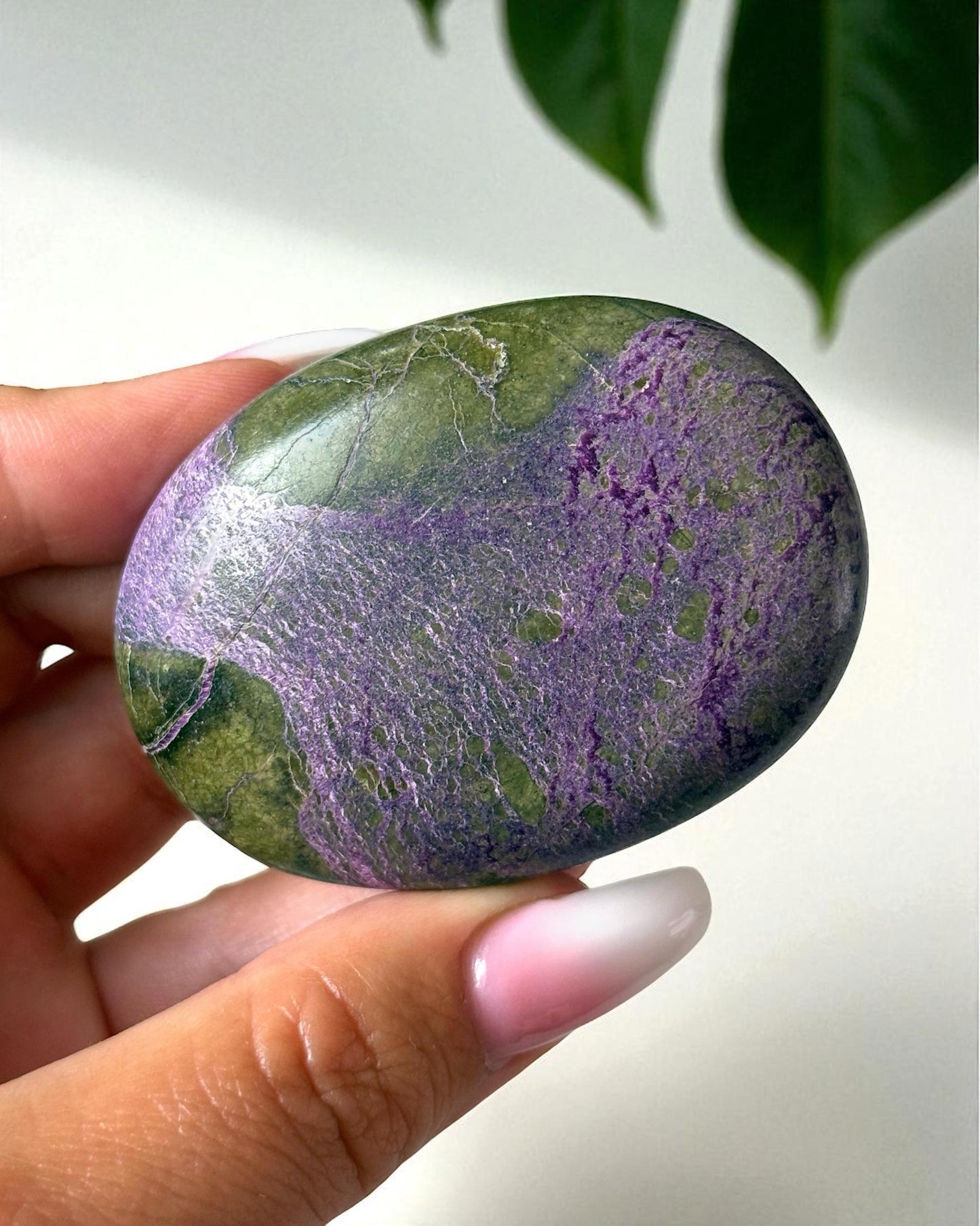 Stichtite Palm Stone