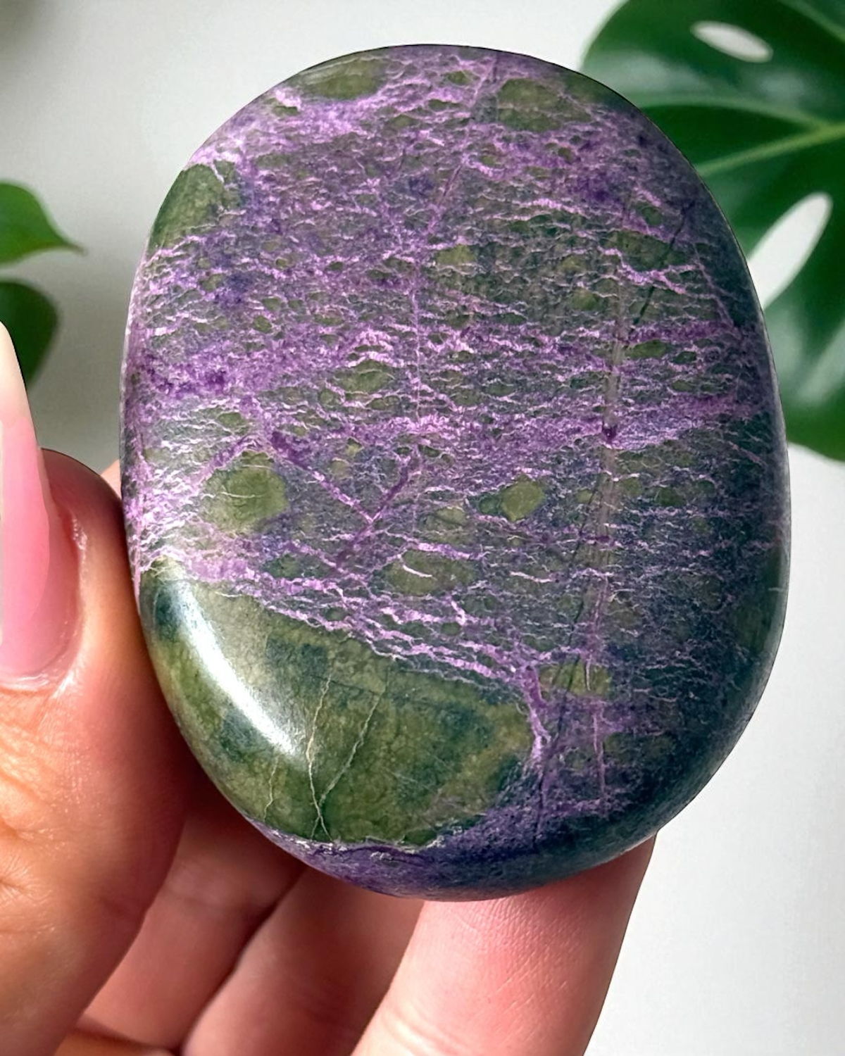 Stichtite Palm Stone