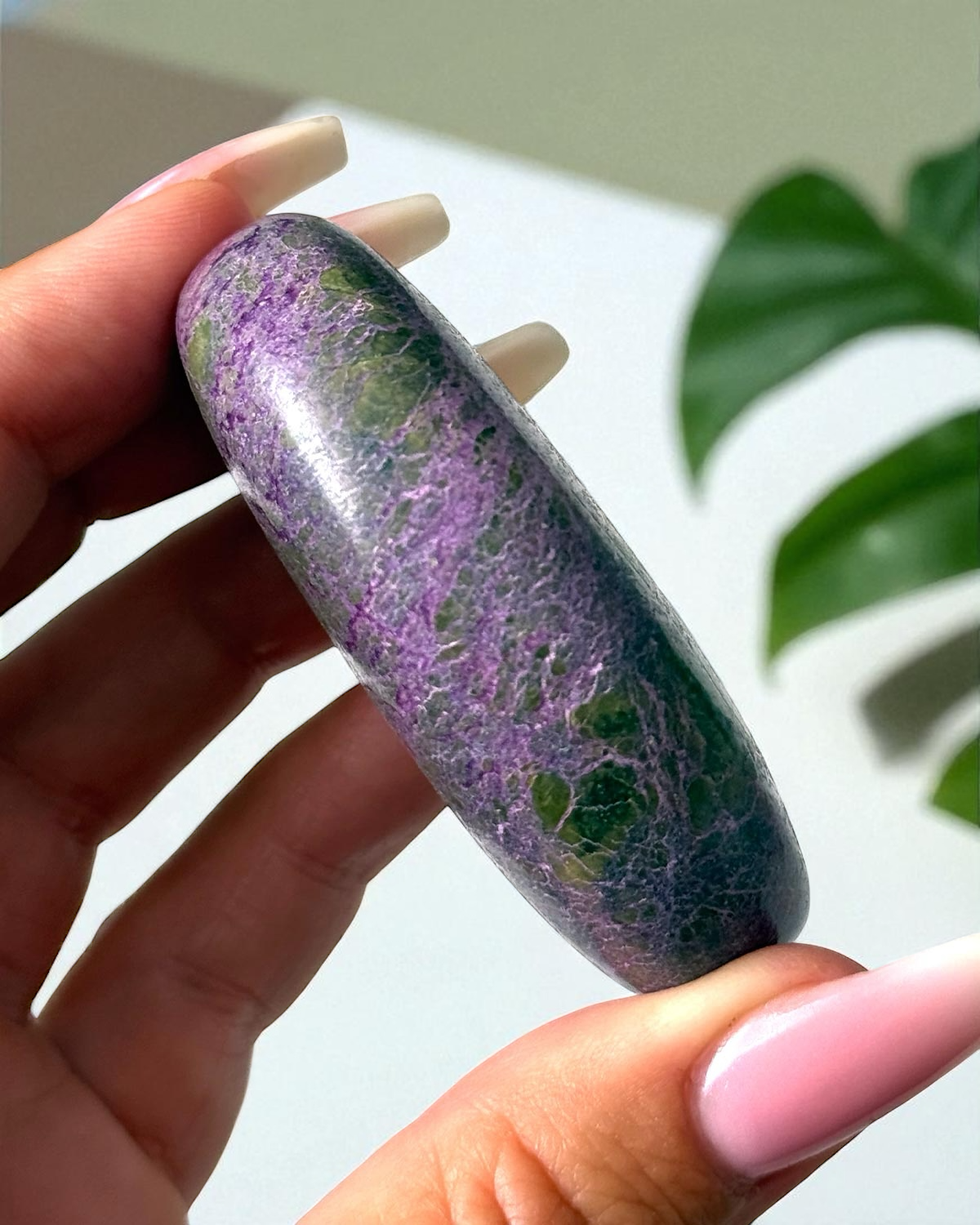 Stichtite Palm Stone