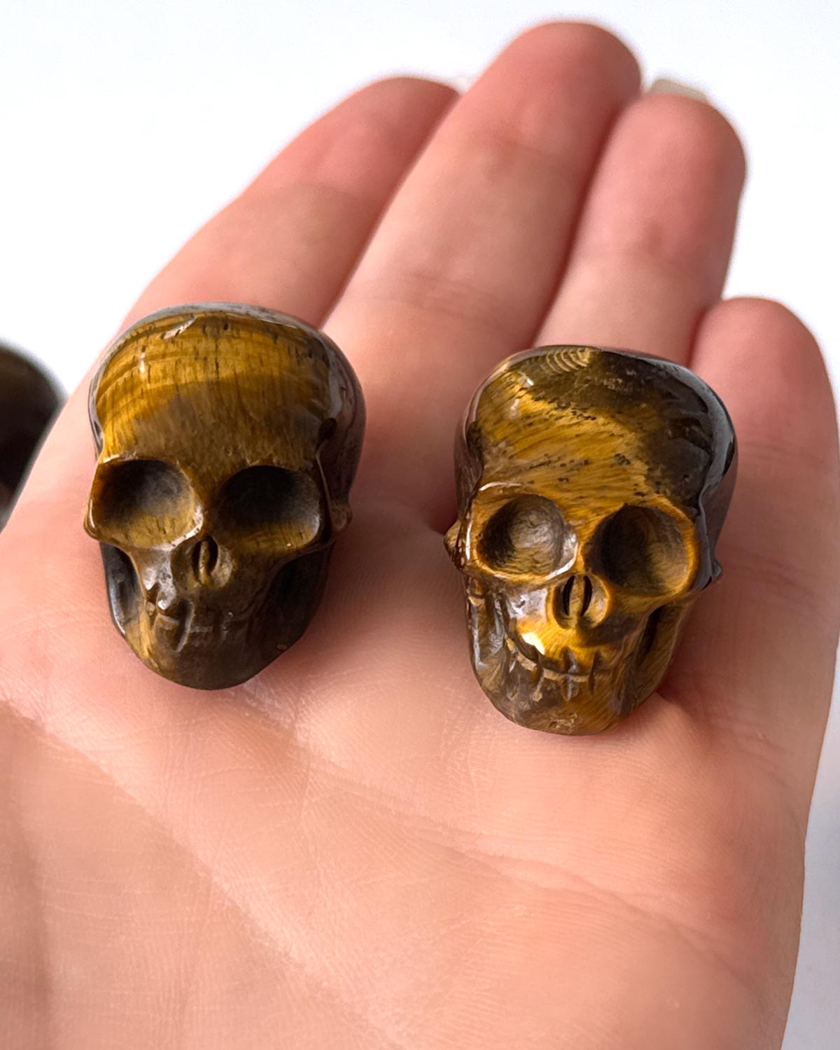 Tiger's Eye Skull