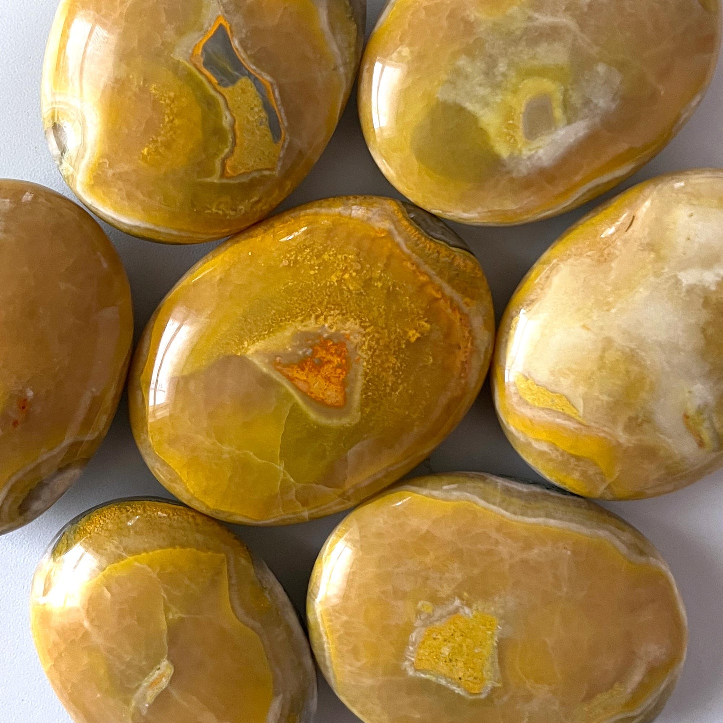 Yellow Gray Bumble Bee Jasper Palm Stone