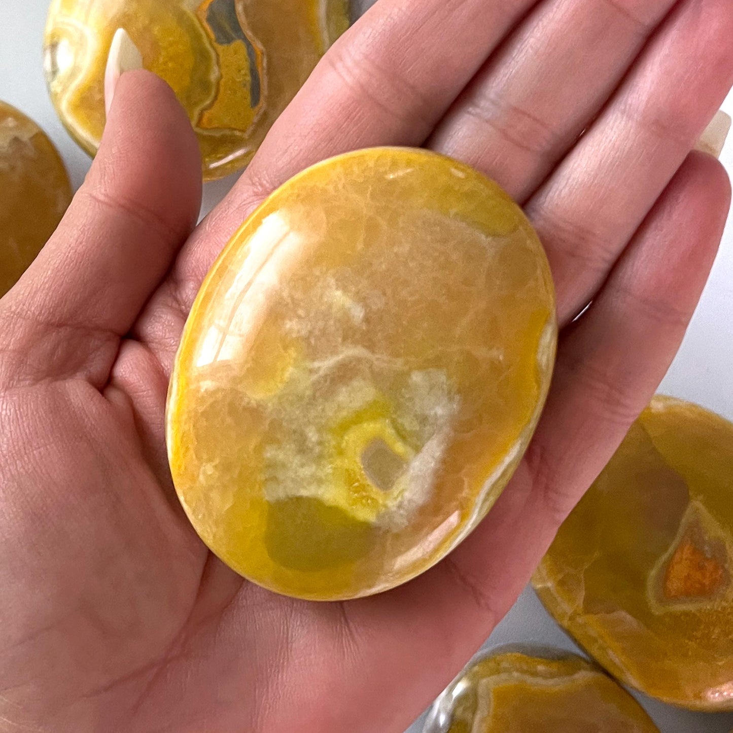 Yellow Gray Bumble Bee Jasper Palm Stone