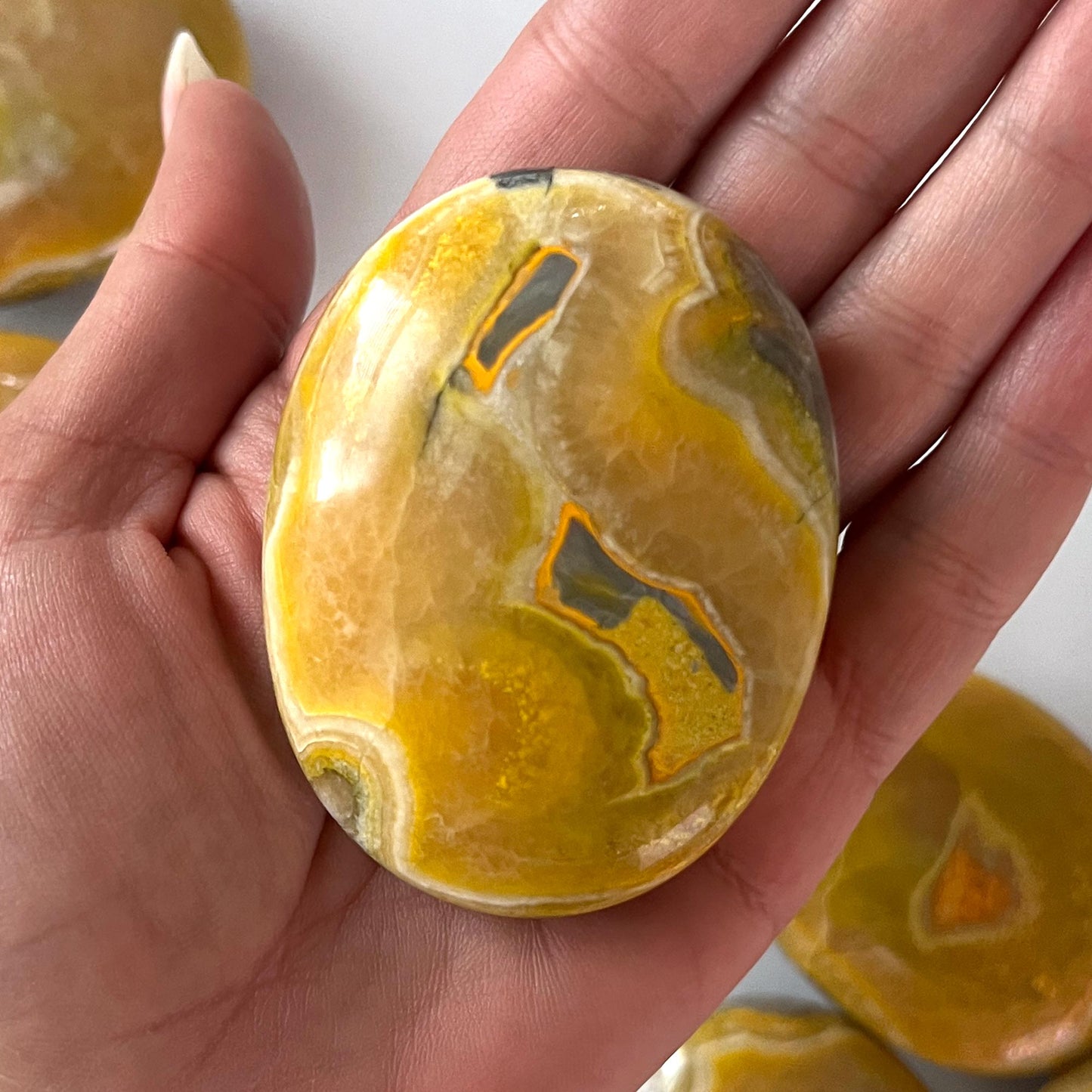 Yellow Gray Bumble Bee Jasper Palm Stone