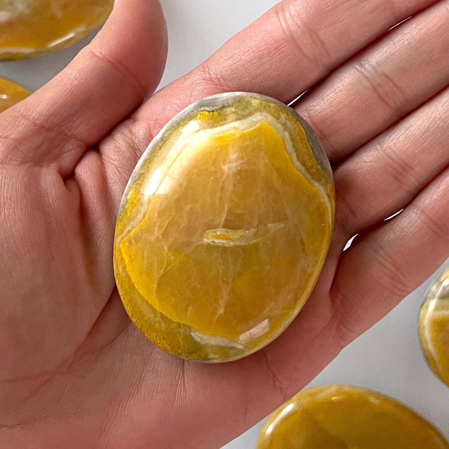 Yellow Gray Bumble Bee Jasper Palm Stone