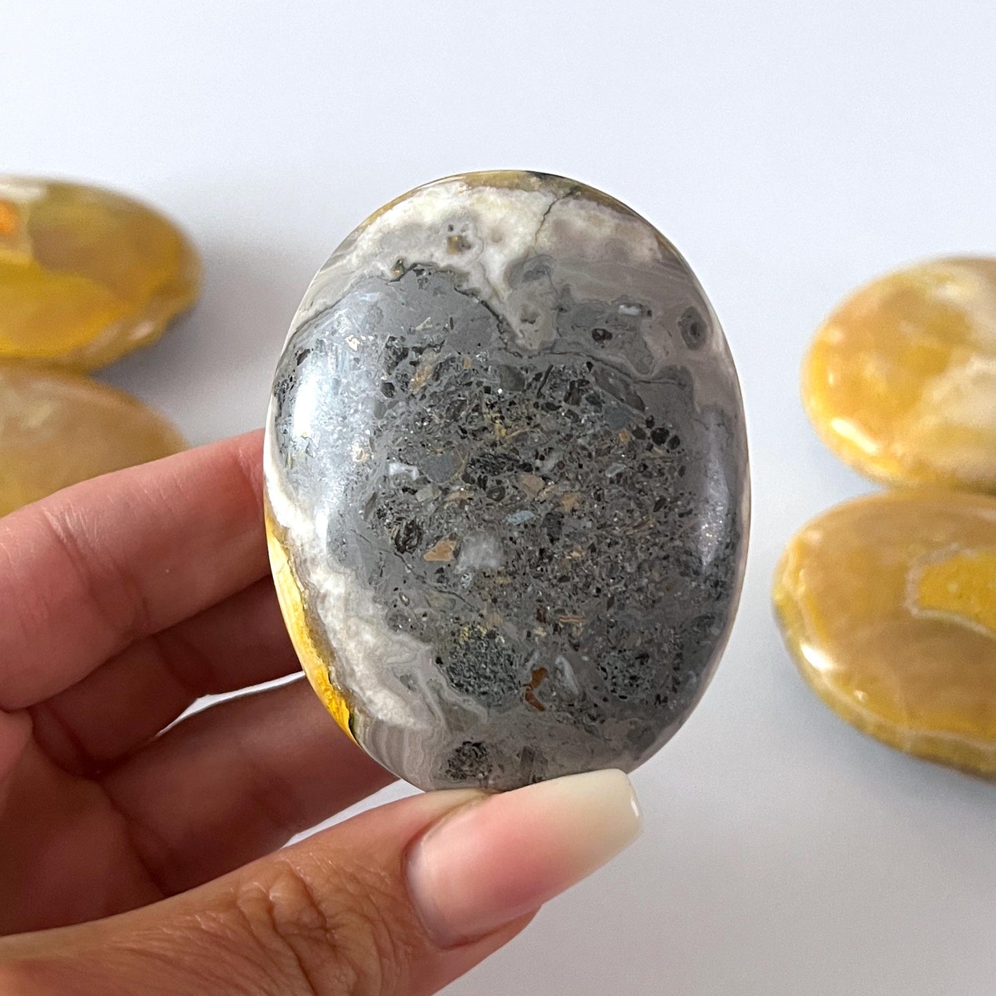 Yellow Gray Bumble Bee Jasper Palm Stone