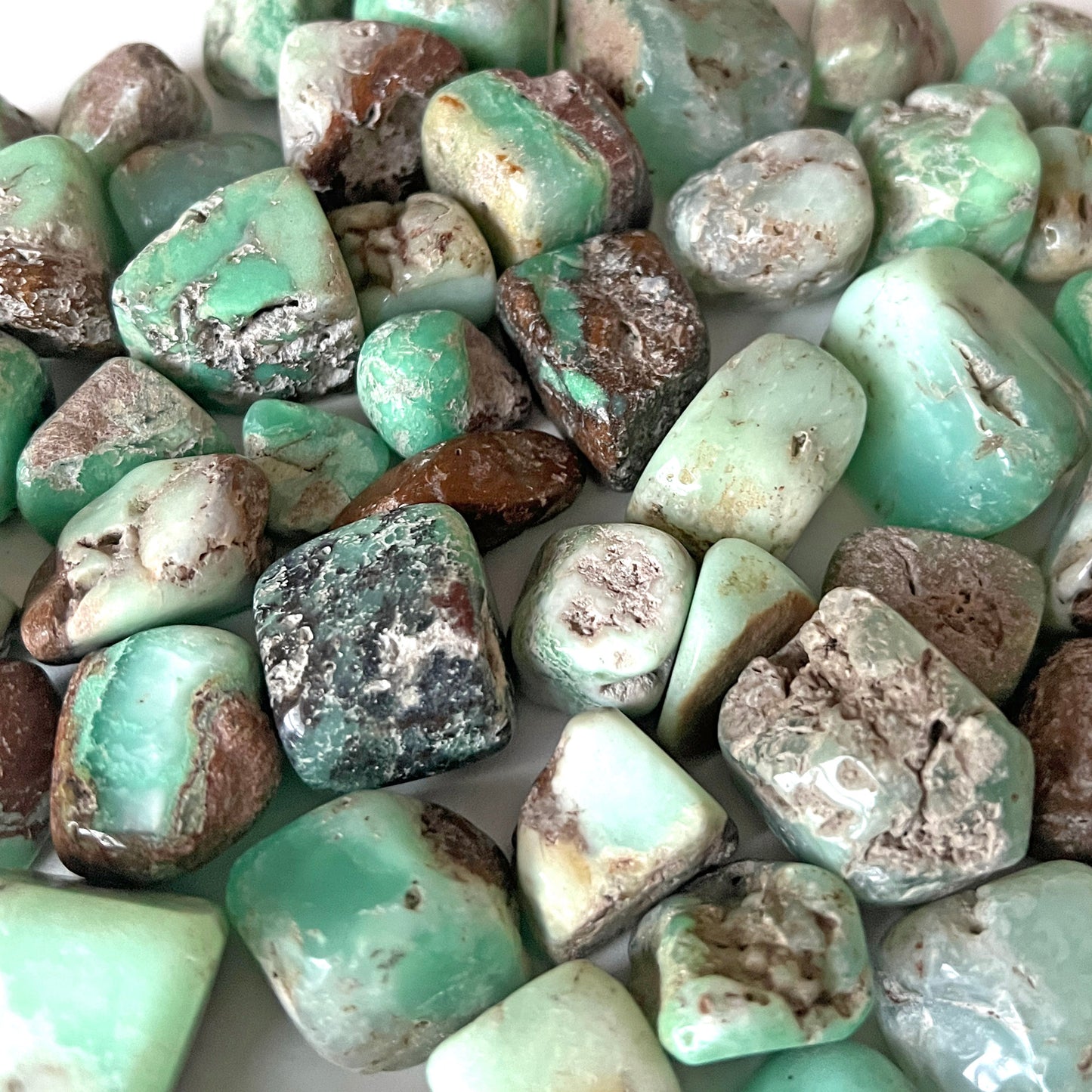 Brown Green Chrysoprase Tumbled