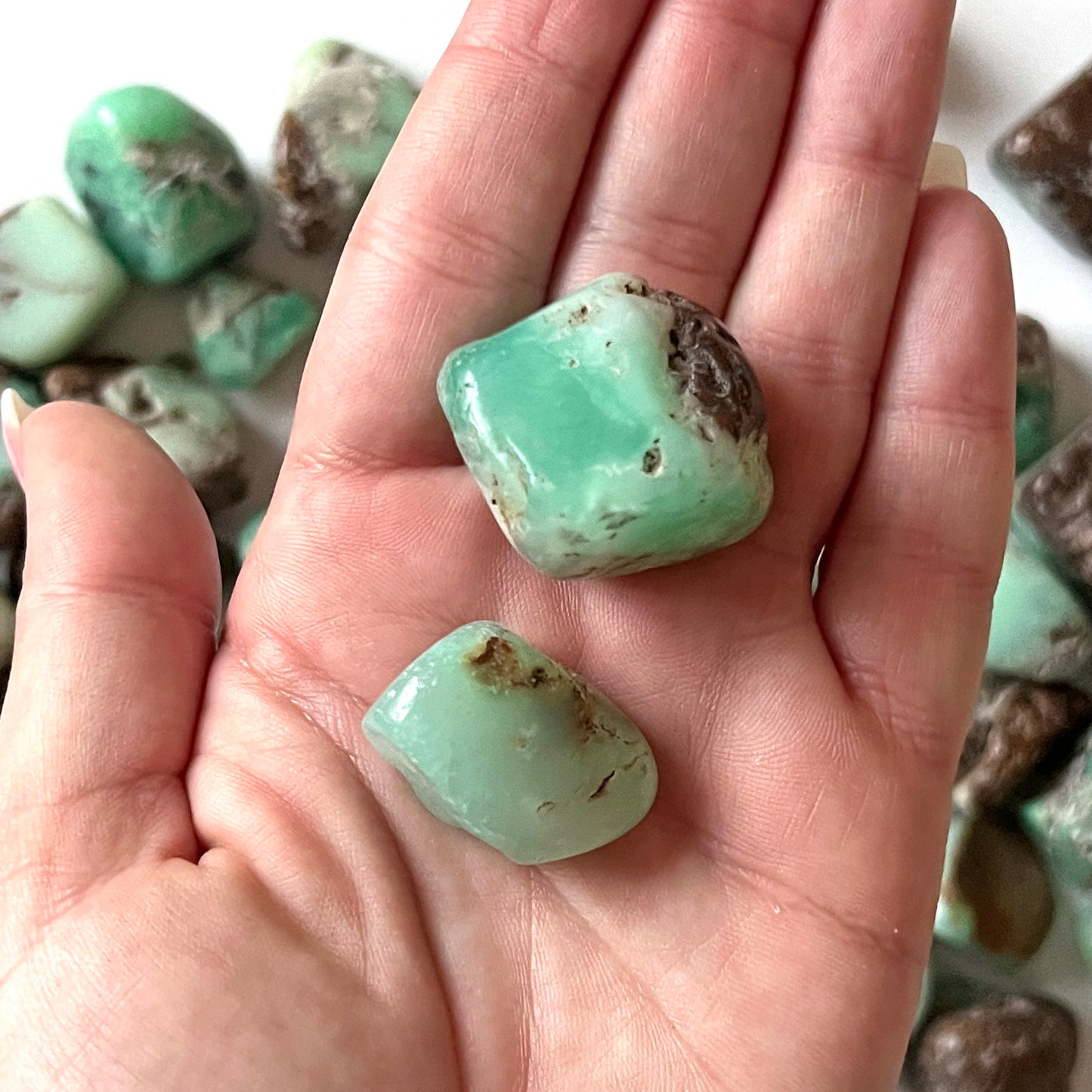 Brown Green Chrysoprase Tumbled