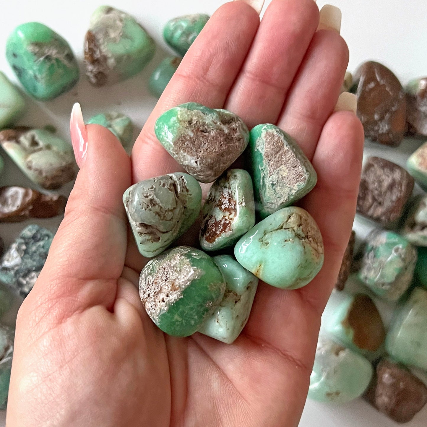 Brown Green Chrysoprase Tumbled