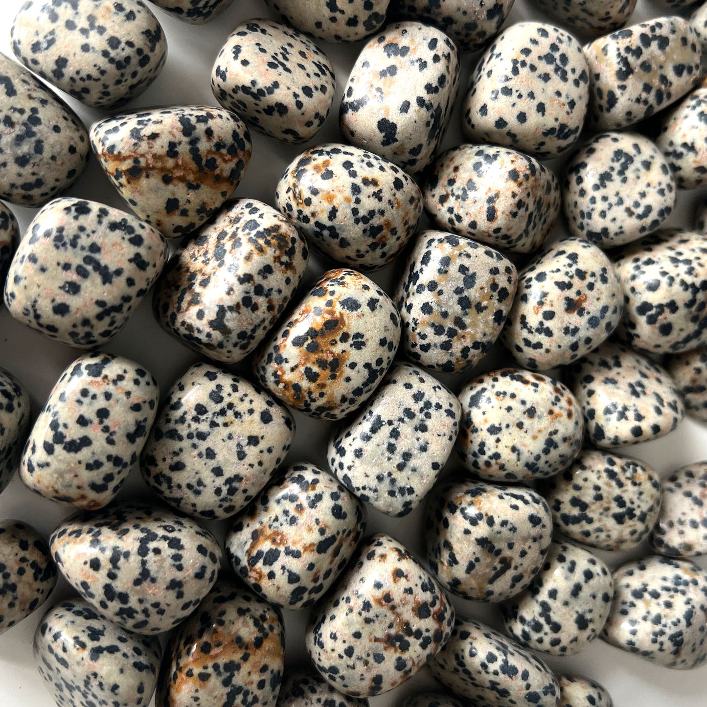 Dalmatian Jasper Tumbled