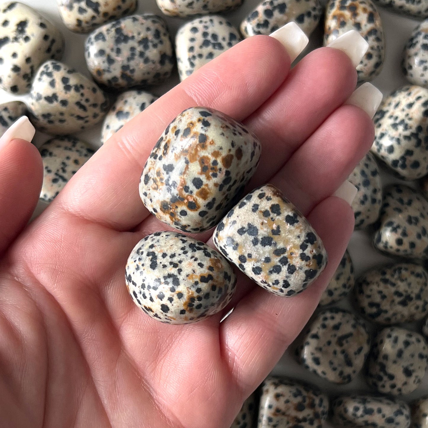 Dalmatian Jasper Tumbled