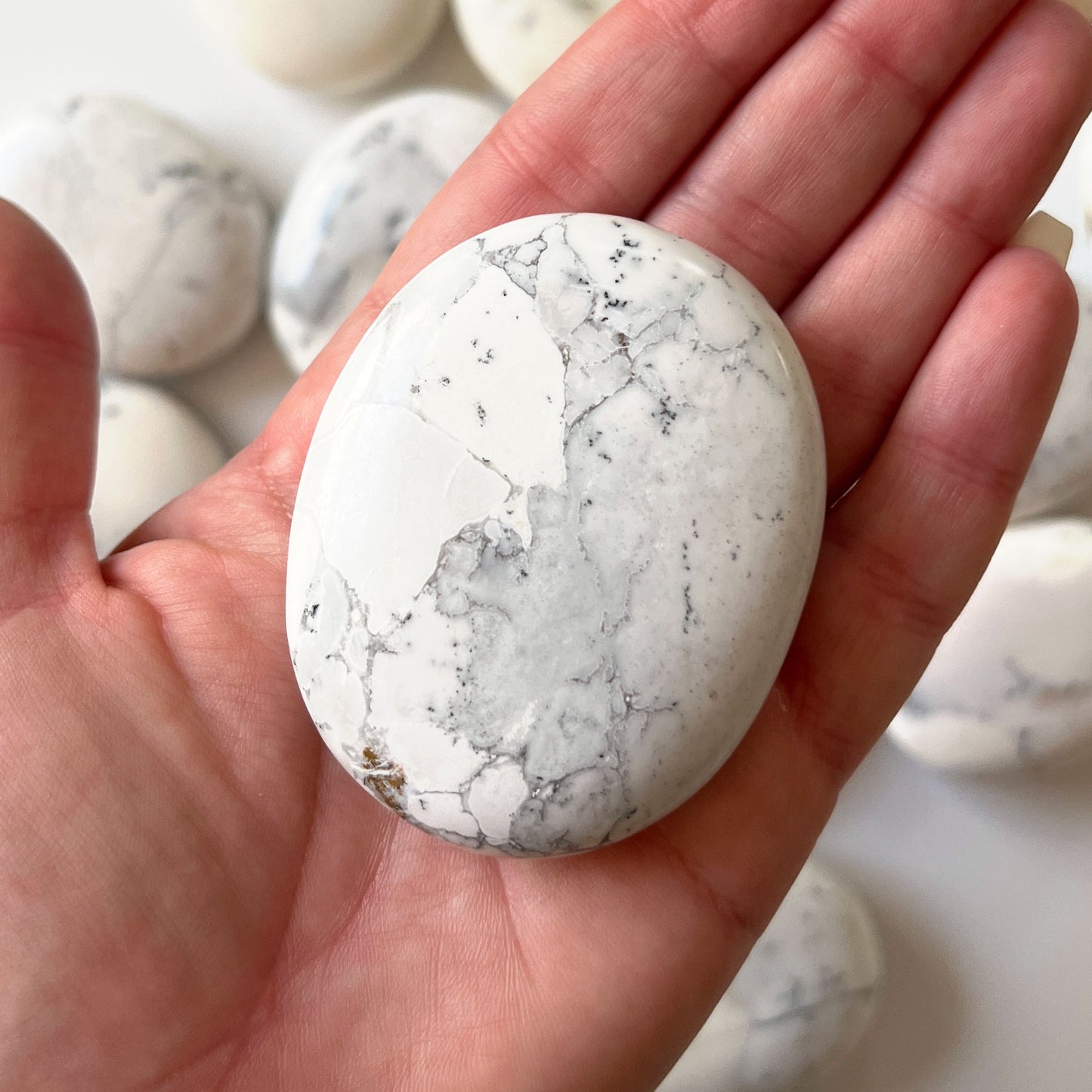 Dendritic Opal Palm Stone