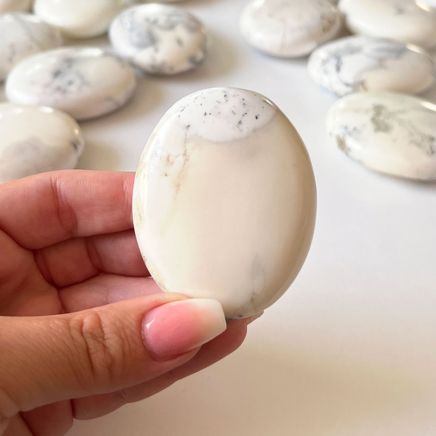 Dendritic Opal Palm Stone