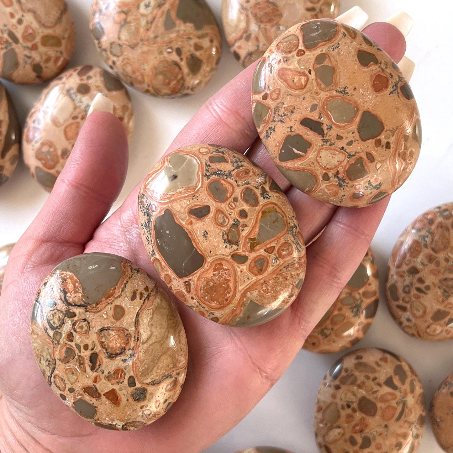 Leopardskin Jasper Palm Stone