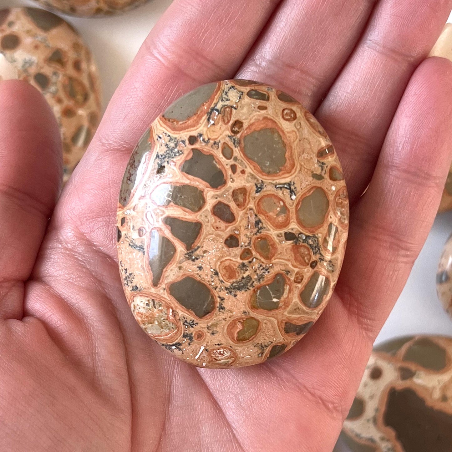 Leopardskin Jasper Palm Stone
