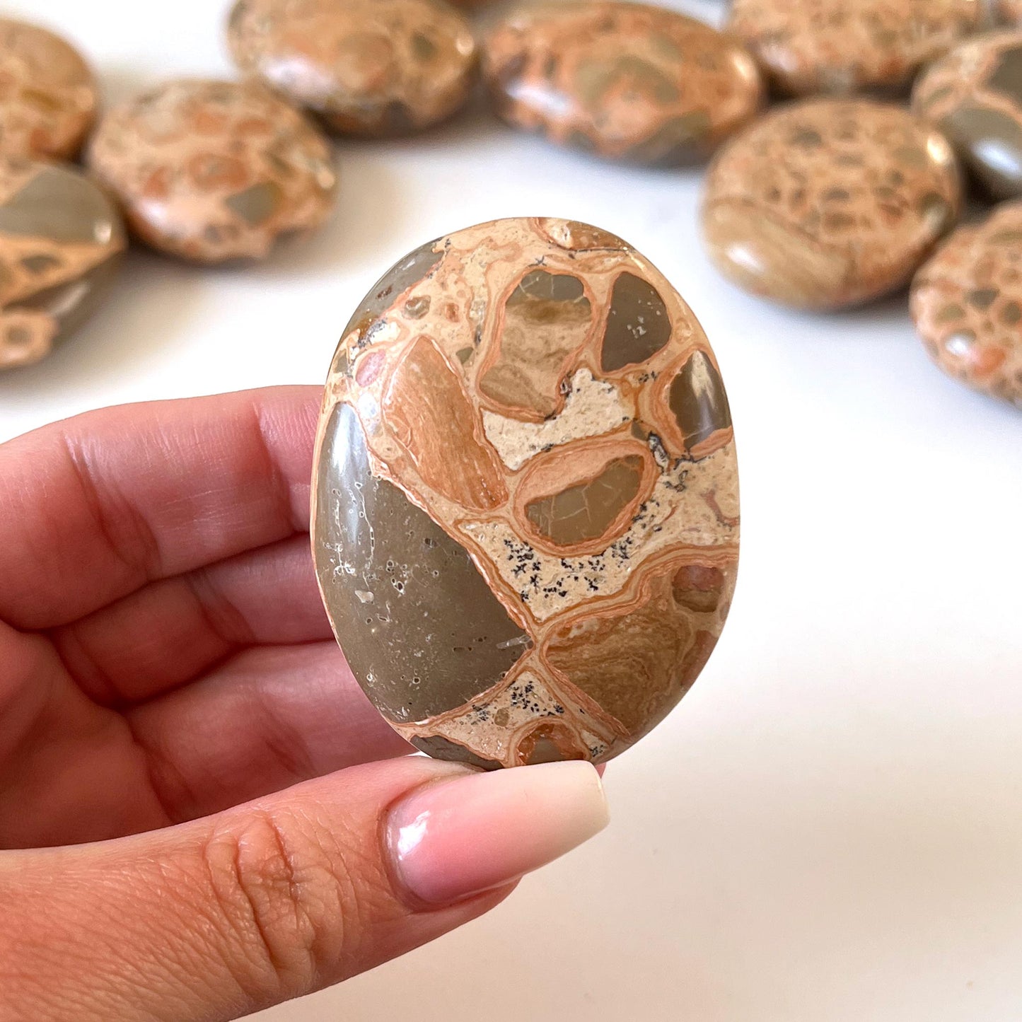 Leopardskin Jasper Palm Stone