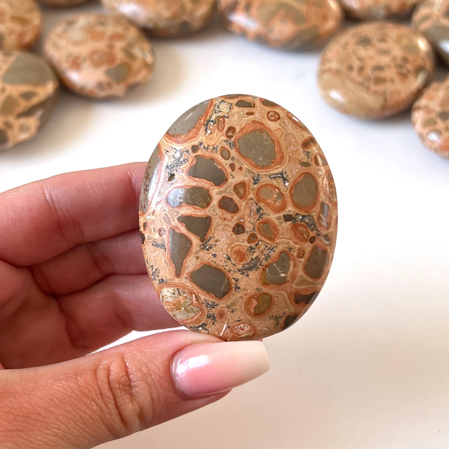 Leopardskin Jasper Palm Stone
