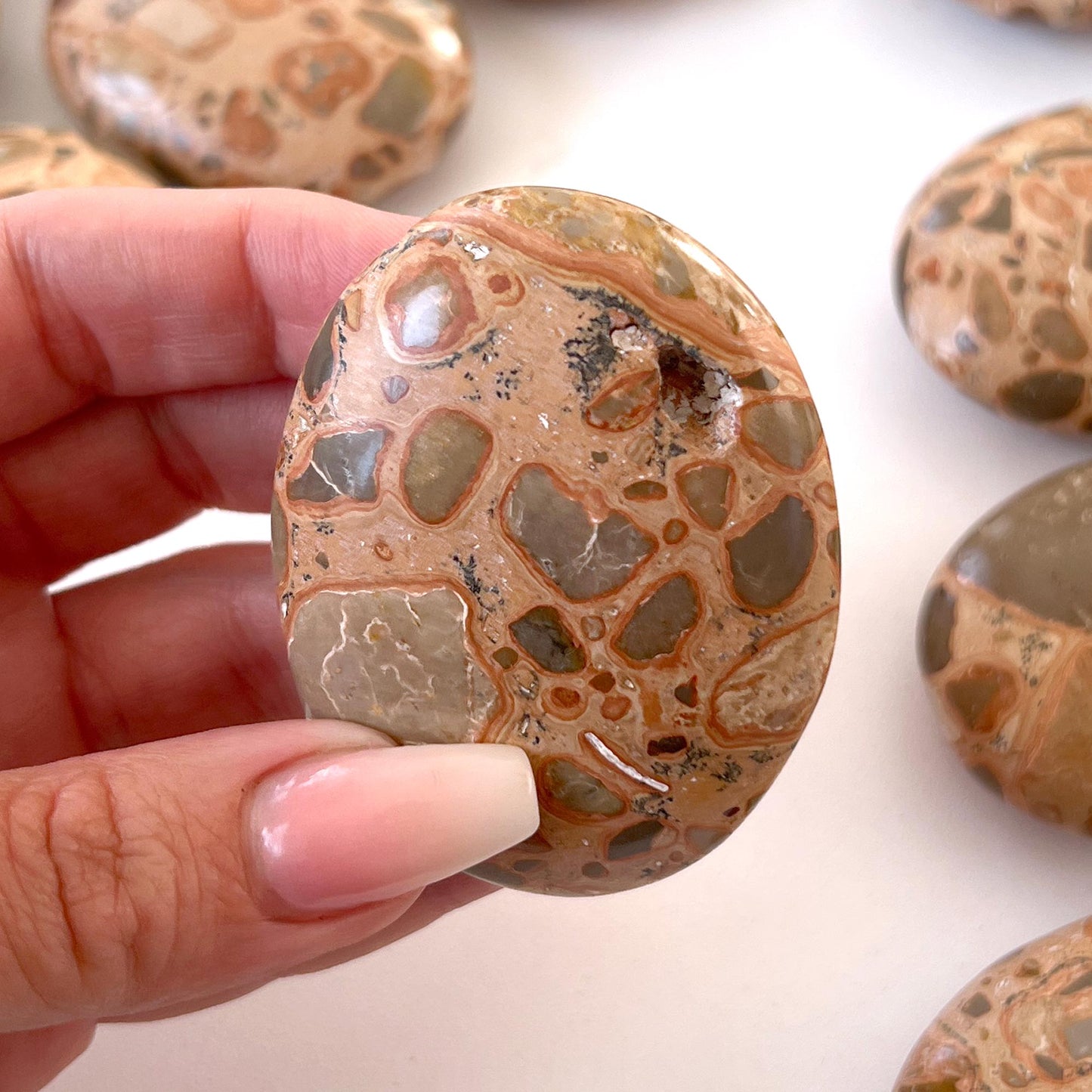 Leopardskin Jasper Palm Stone