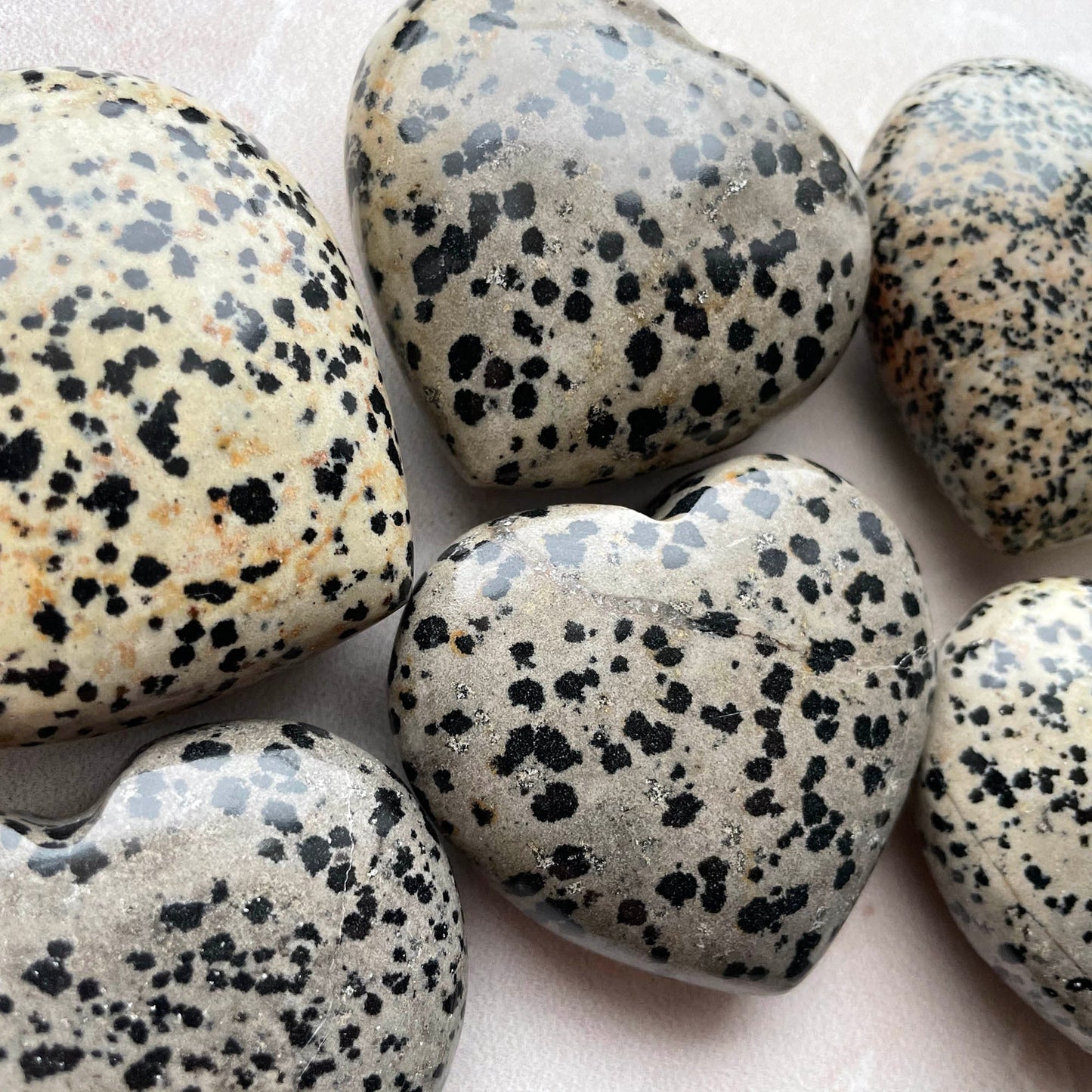 Dalmatian Jasper Heart