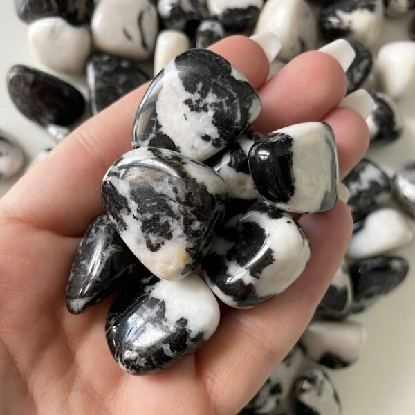 Tiger Calcite Tumbled | Yin/Yang Crystal | Focus - Sole Luna