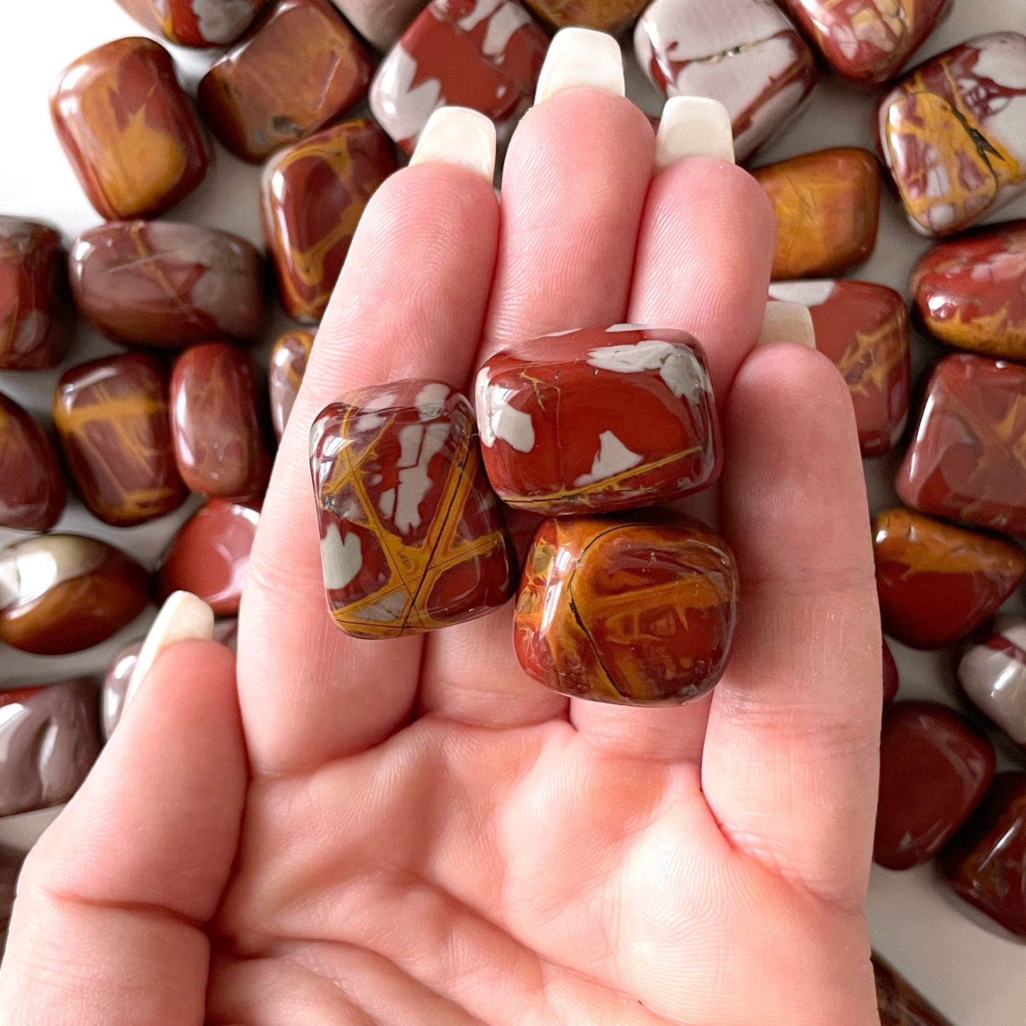 Noreena Jasper Tumbled