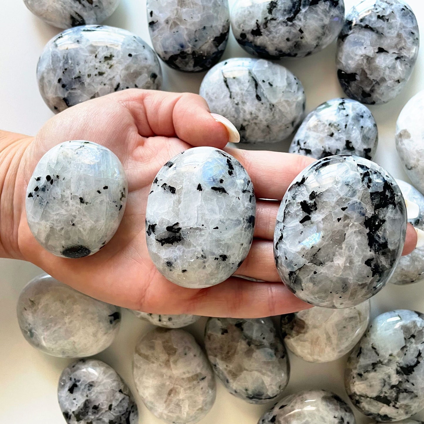 Rainbow Moonstone Palm Stone | Intuition | Harmony | Hope - Sole Luna